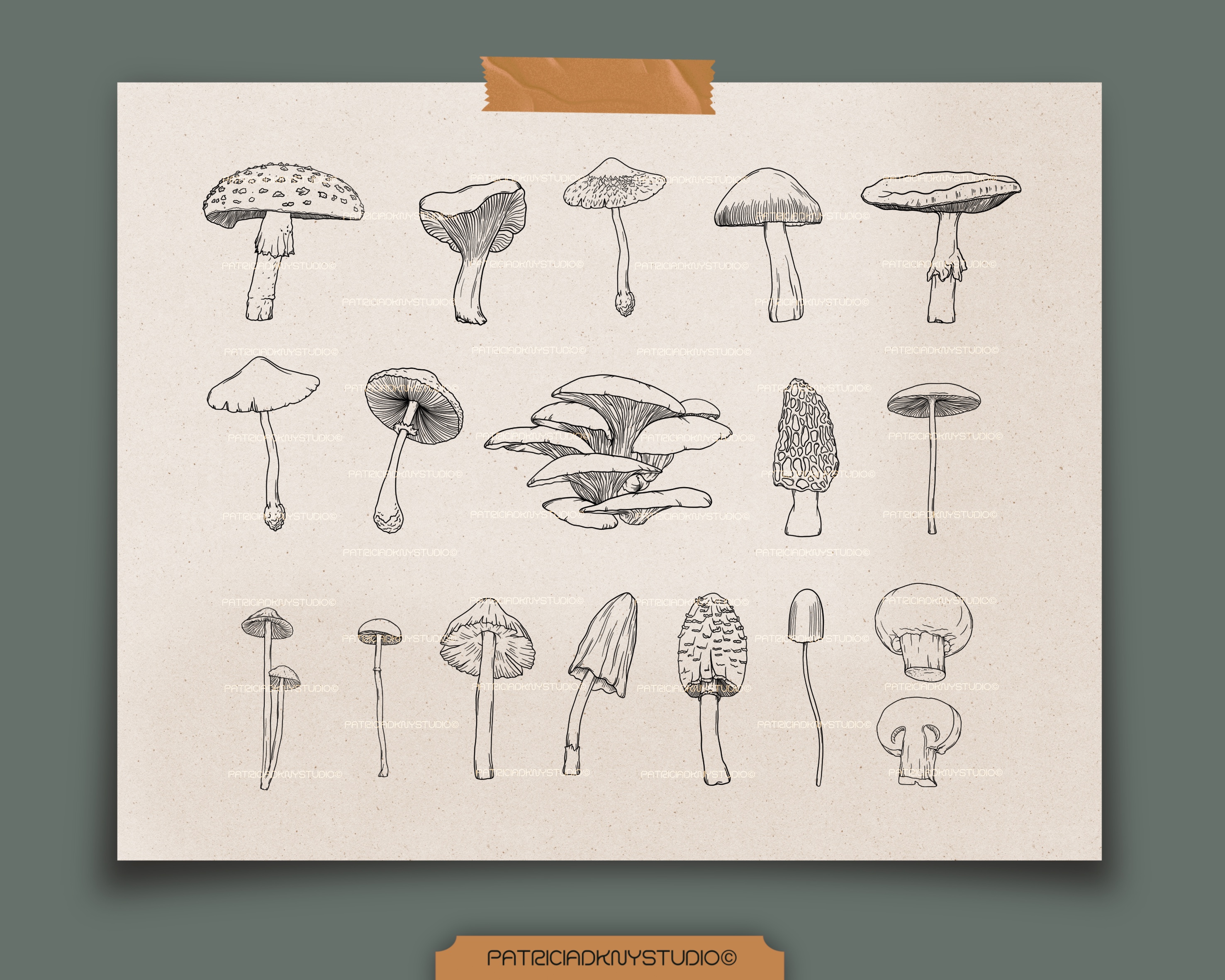 Procreate Mushroom Brushes