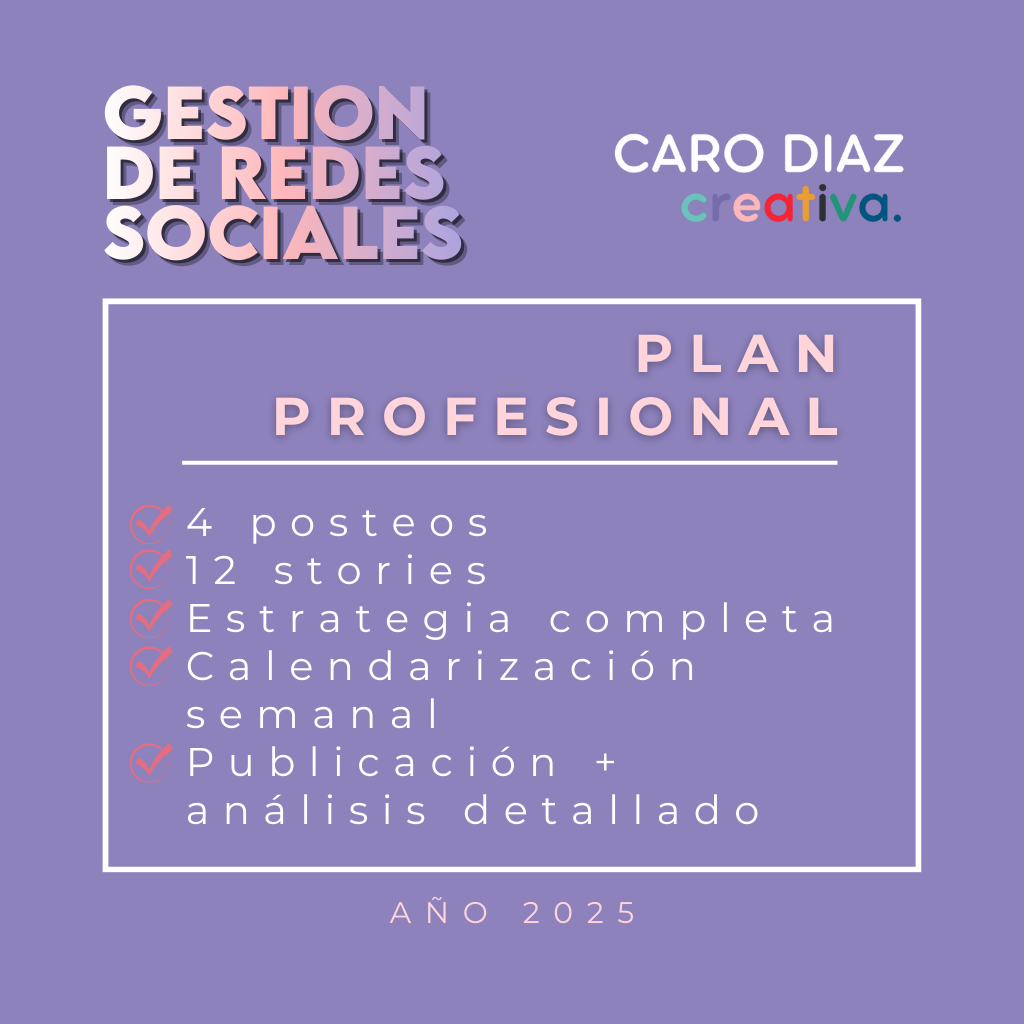 PLAN PROFESIONAL
