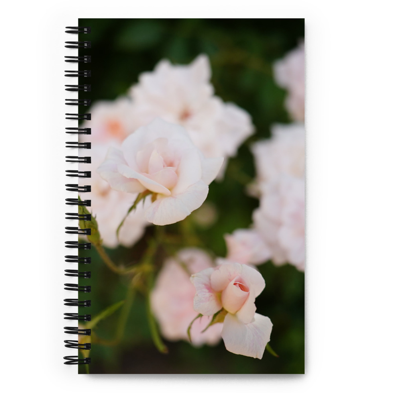 spiral notebook (blank)