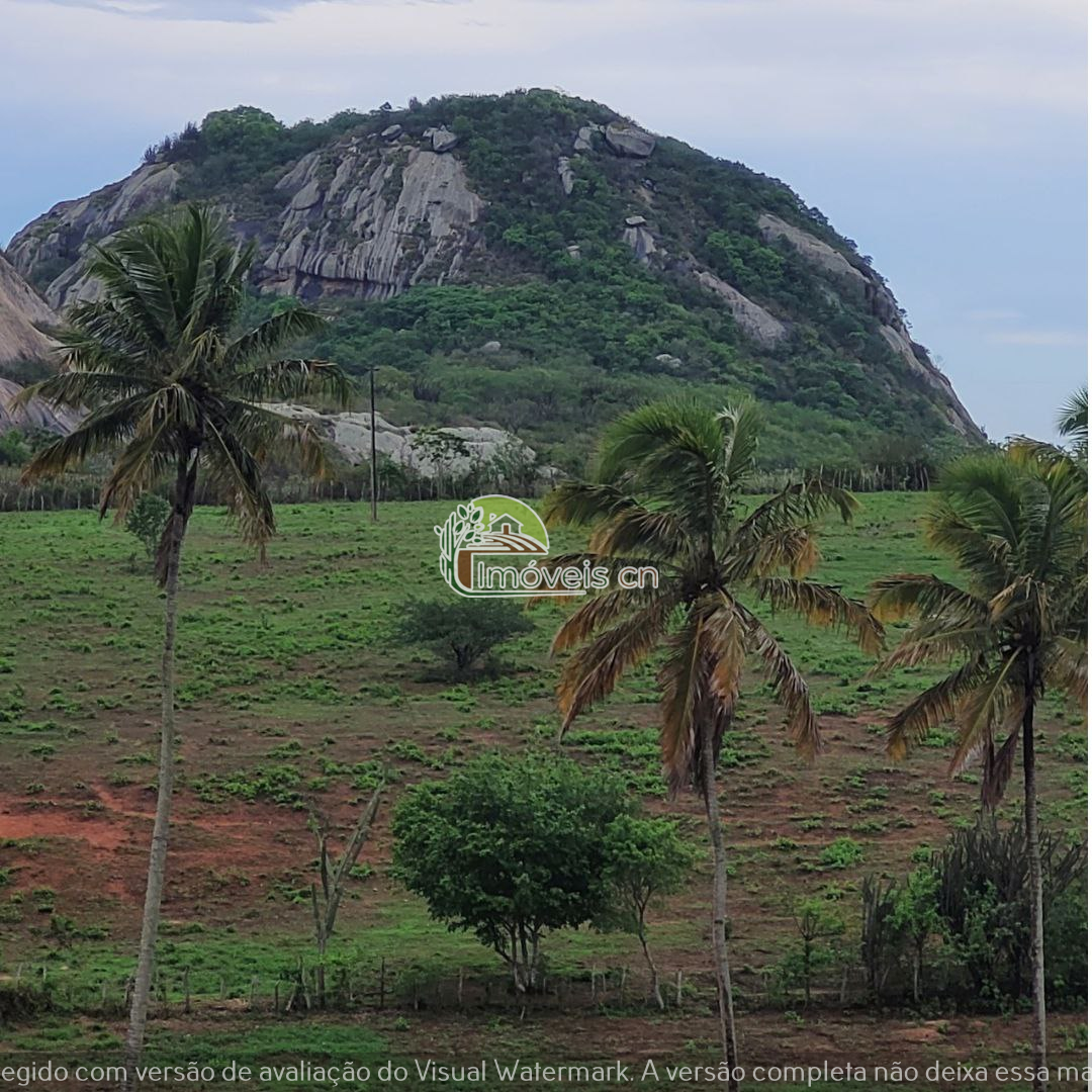 OPORTUNIDADE ÚNICA! - LOTES PARA CHÁCARAS!