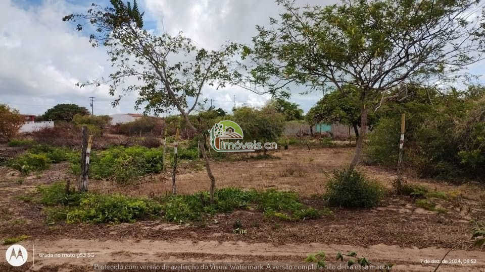 Terreno Legalizado à Venda em Genipabu/RN