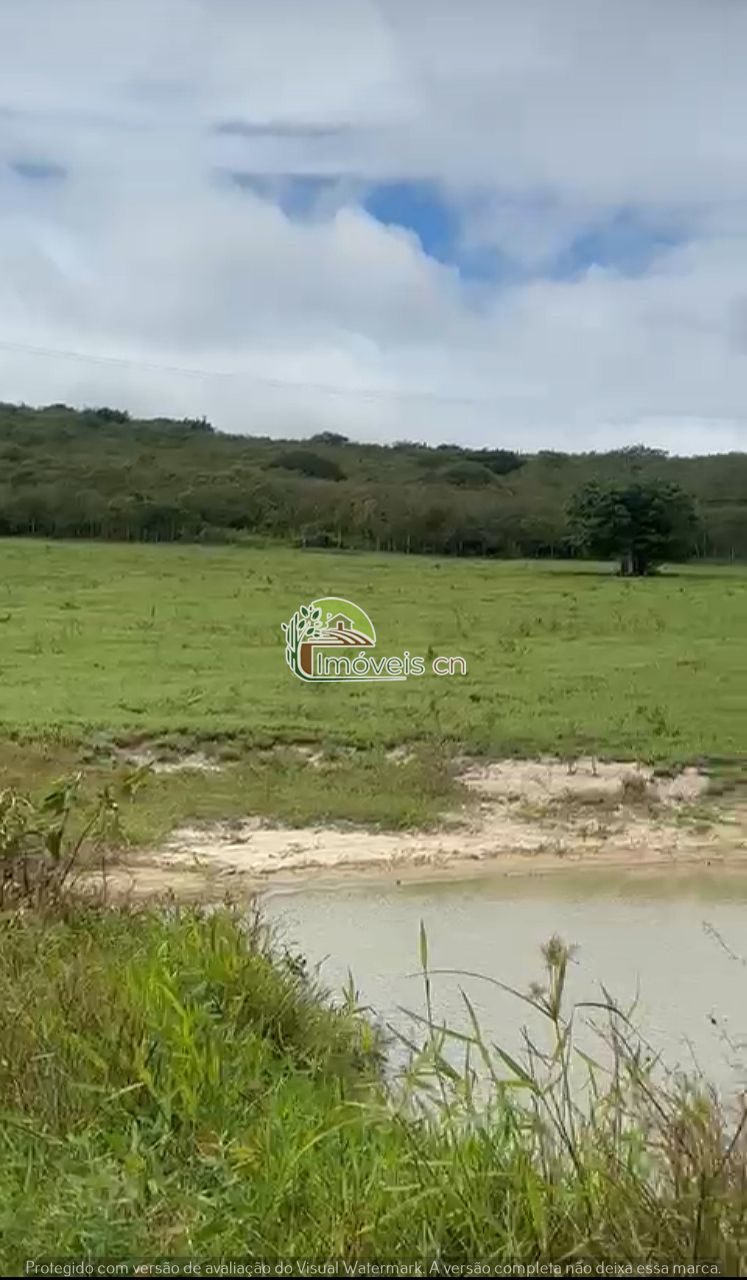 Terra à Venda com Barreiro – 6 Hectares no Sítio Malva, Tacima/PB
