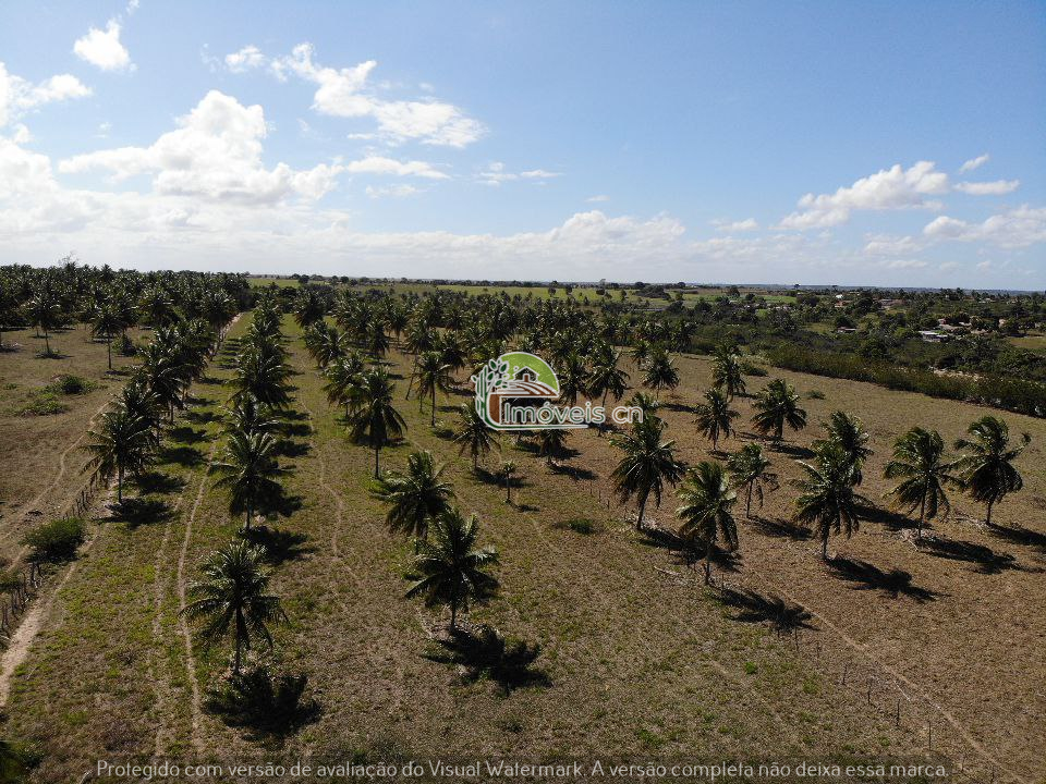 Grande Propriedade às Margens da RN-316 – Monte Alegre/RN