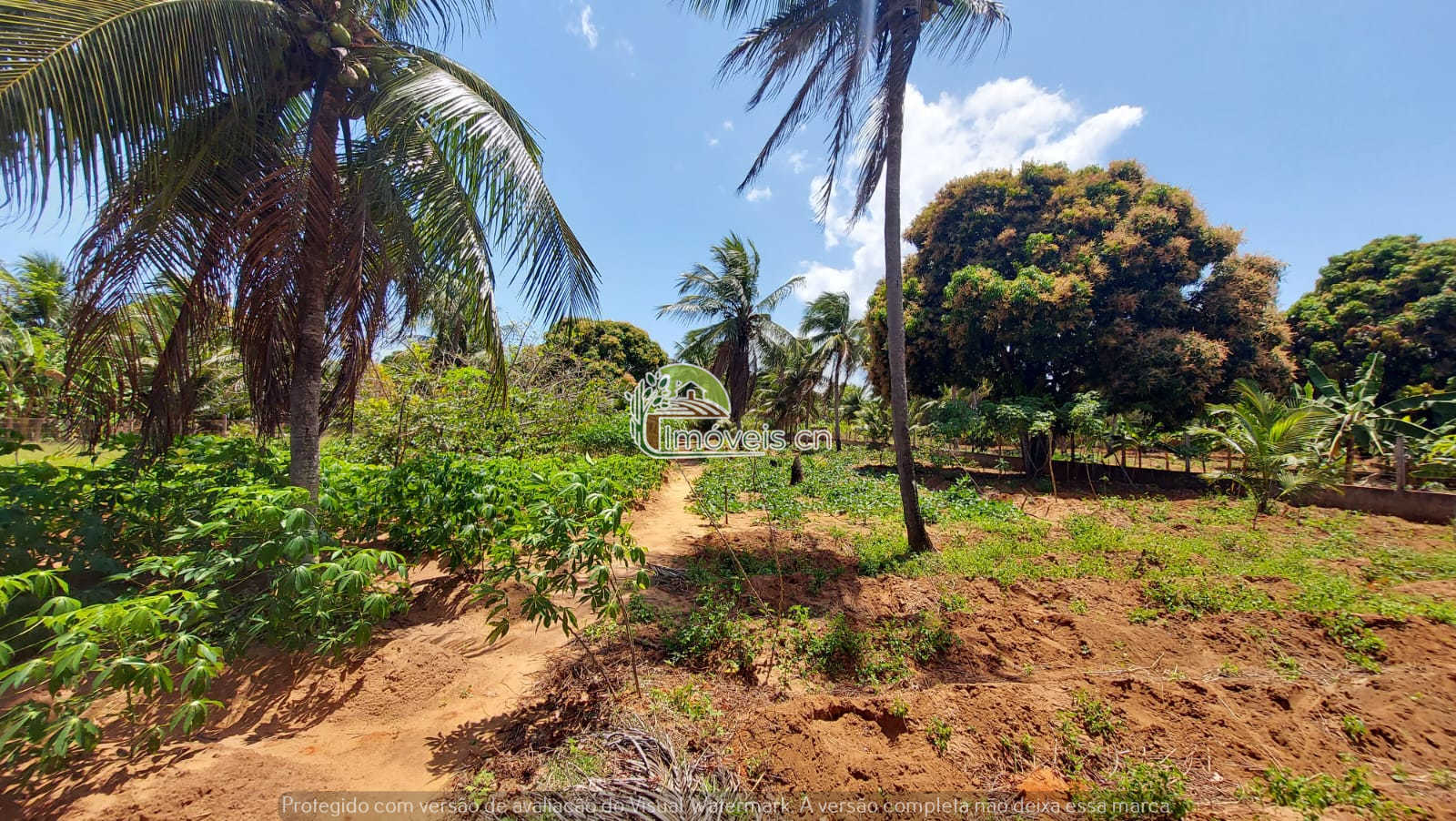 GRANJA À VENDA EM NÍSIA FLORESTA/RN – 4.957 m² – R$ 350.000