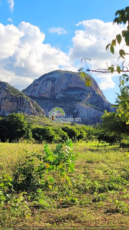 Oportunidade Única na Pedra da Boca!