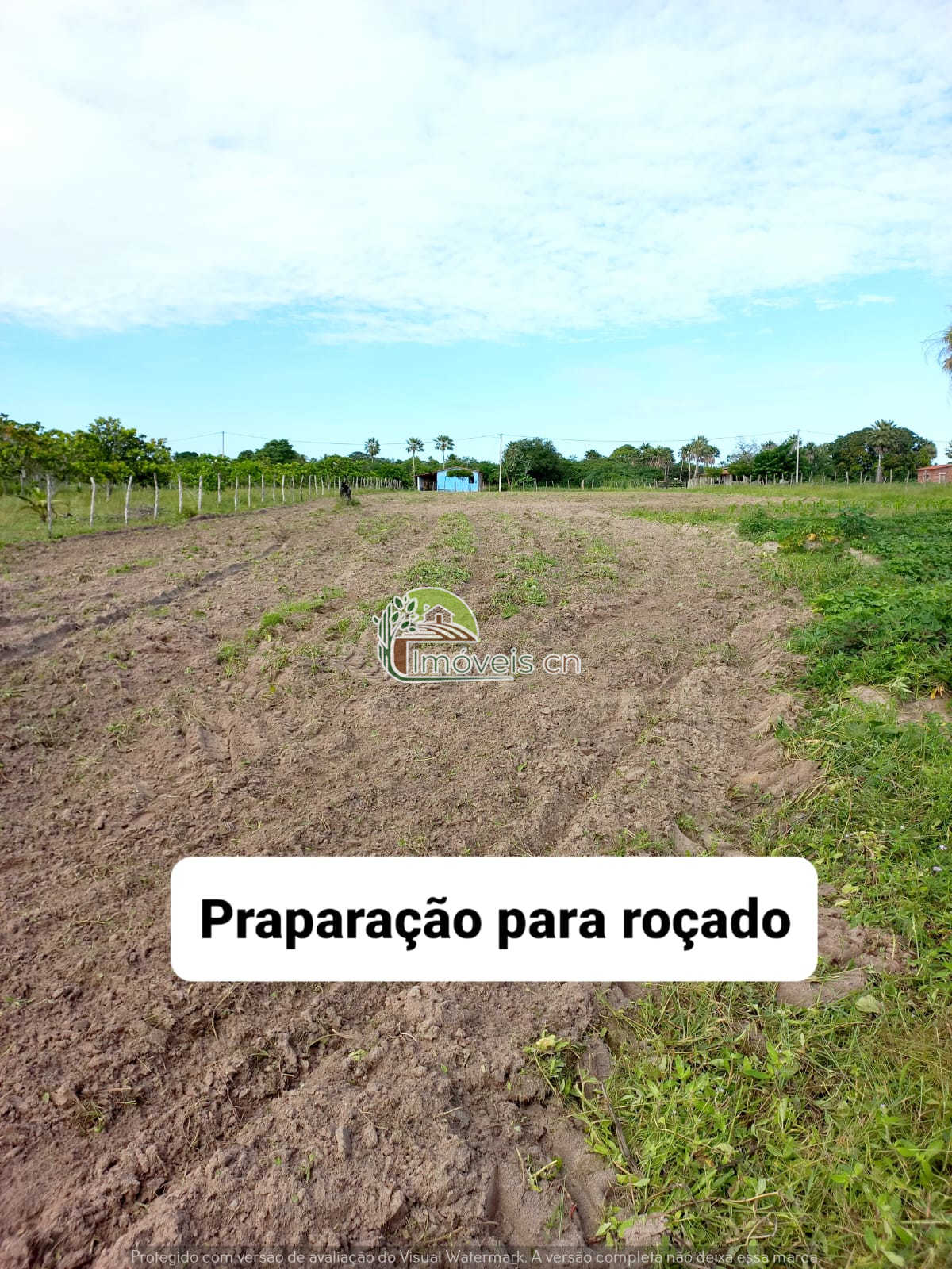 SÍTIO À VENDA COM 14 HECTARES – ESCRITURA PÚBLICA – LAGOA DE PEDRAS/RN – R$ 490.000