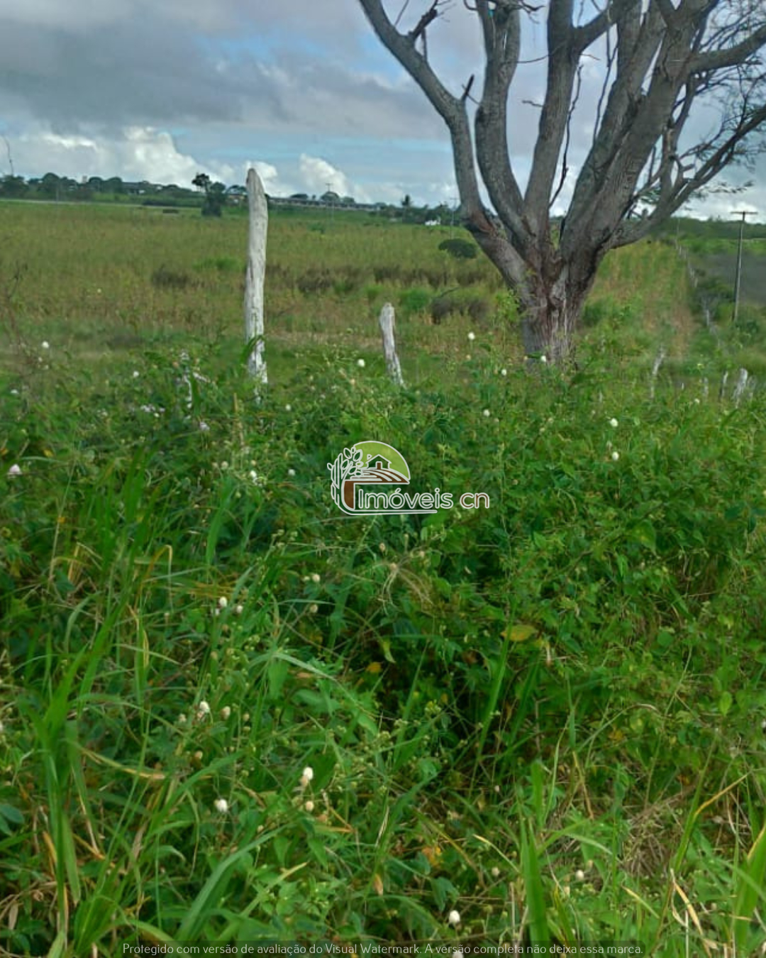 Terreno Ideal para Mini Granja em Puxinanã/PB!