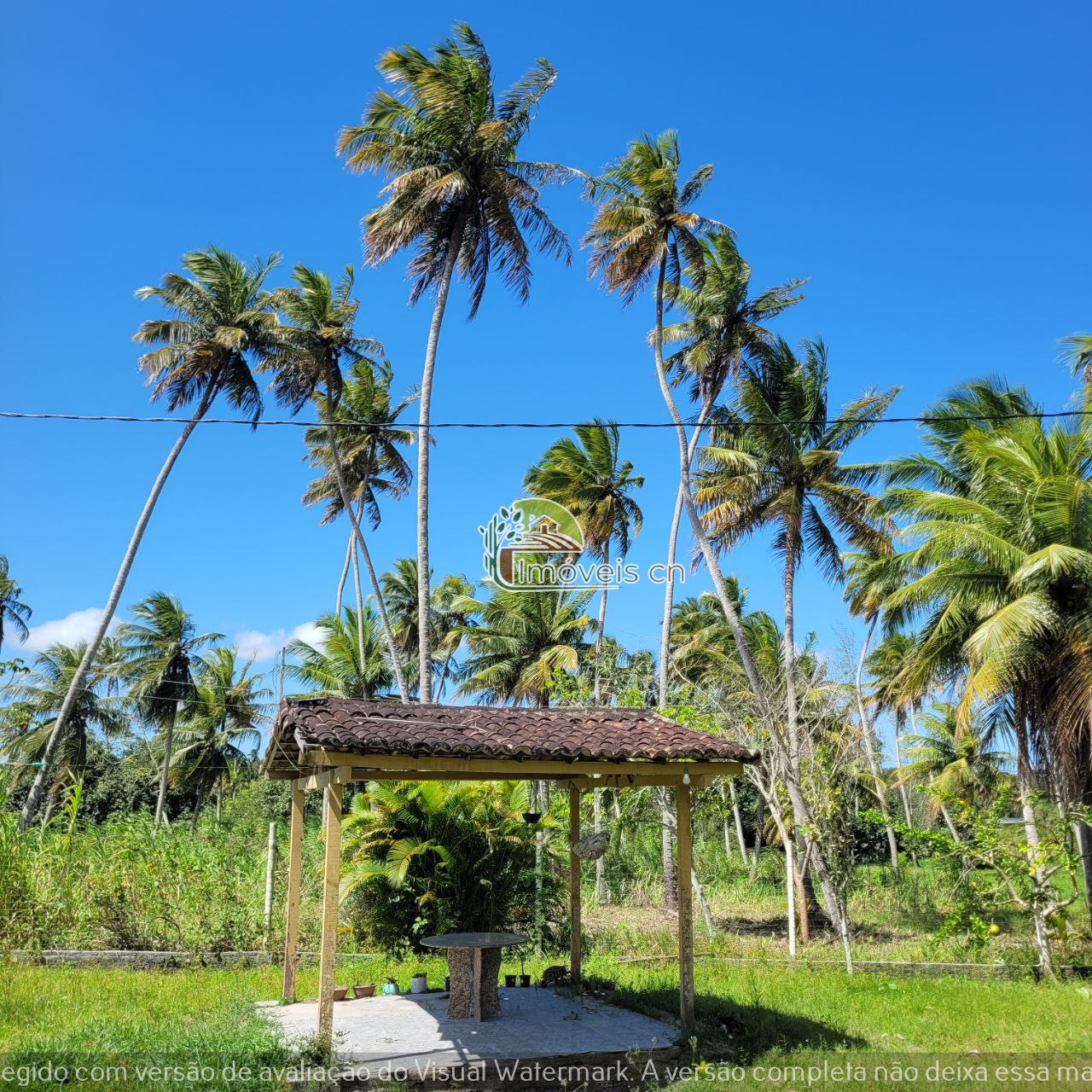 Ótima terra à venda em Monte Alegre-RN!