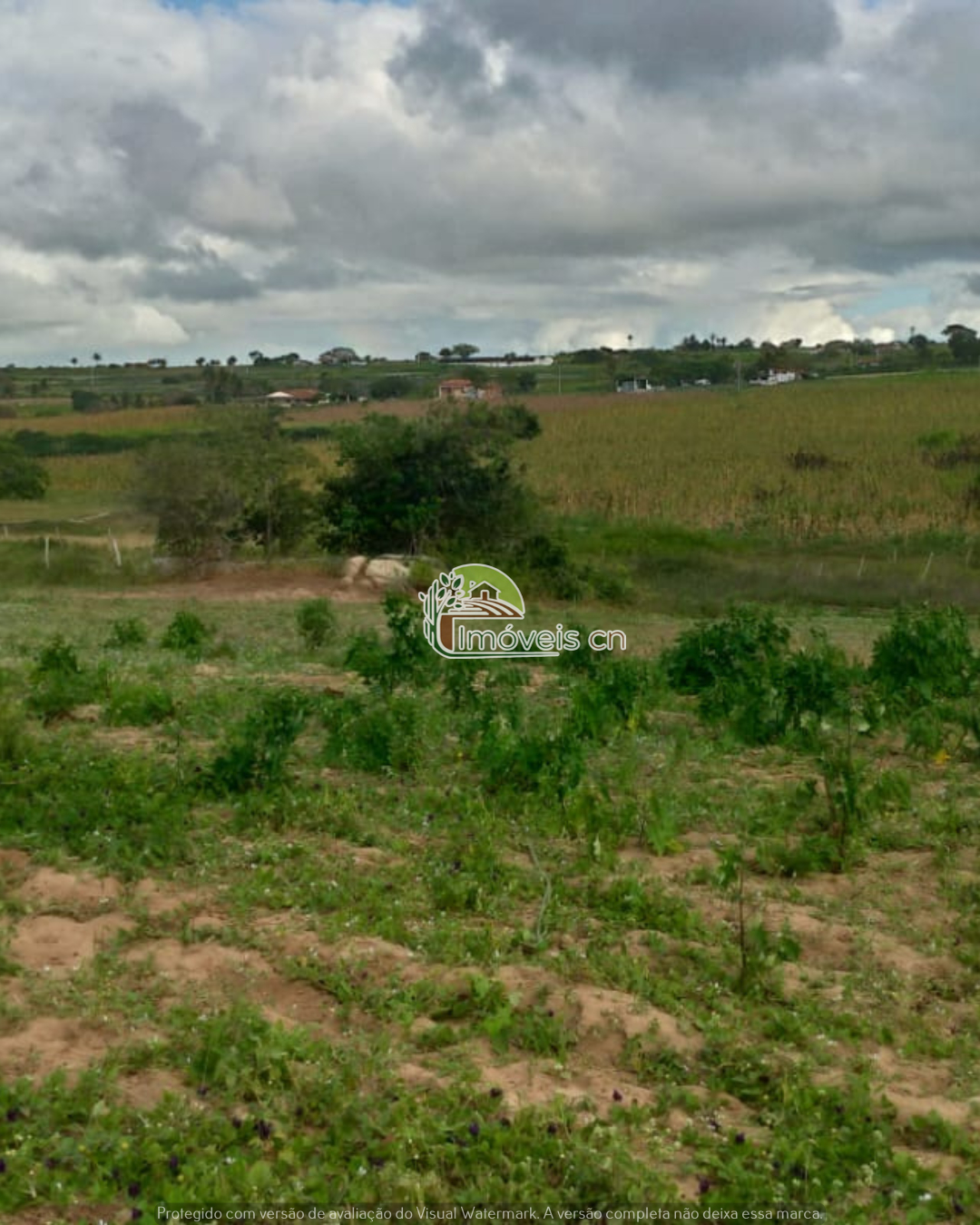 Terreno Ideal para Mini Granja em Puxinanã/PB!