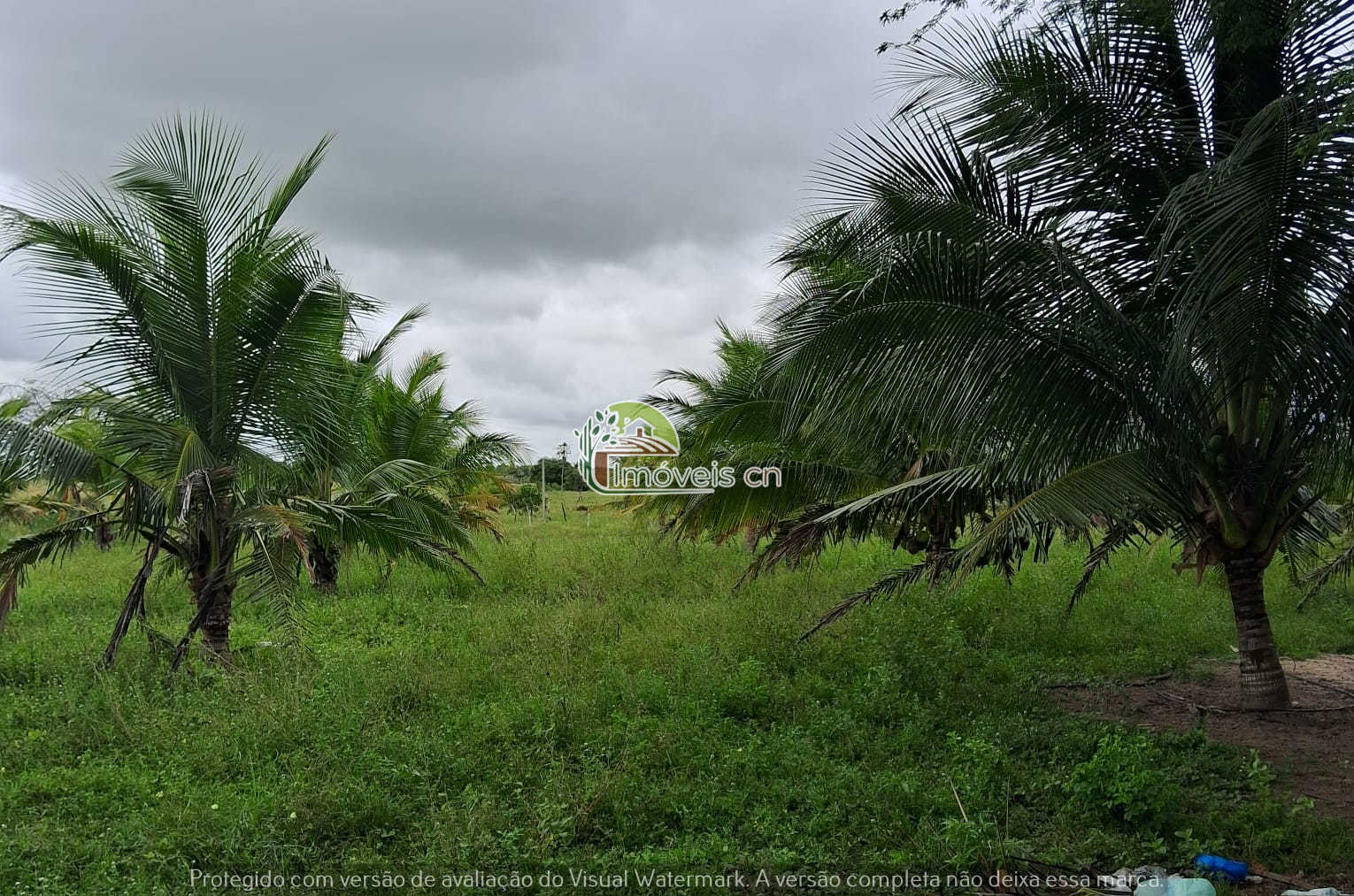 SÍTIO À VENDA COM 14 HECTARES – ESCRITURA PÚBLICA – LAGOA DE PEDRAS/RN – R$ 490.000