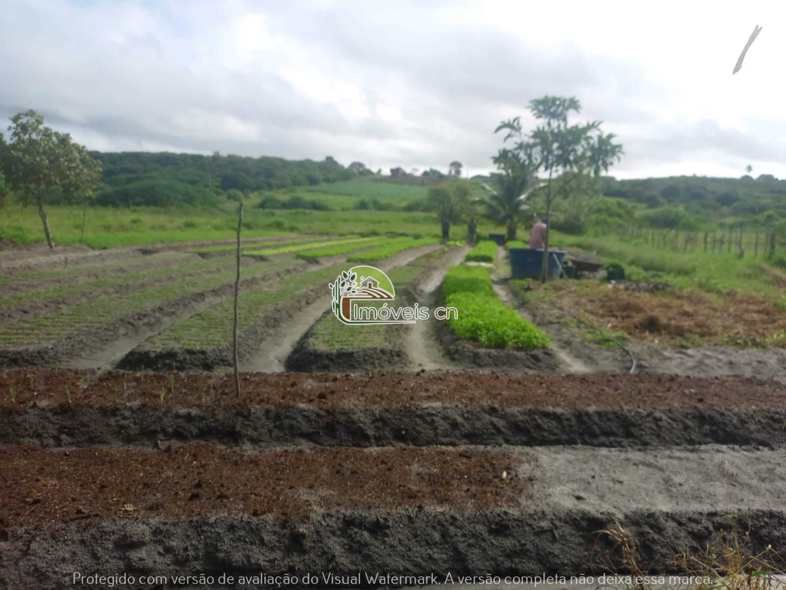 CHÁCARA 8.000m² EM VERA CRUZ/RN – ACEITO TROCA + VOLTA