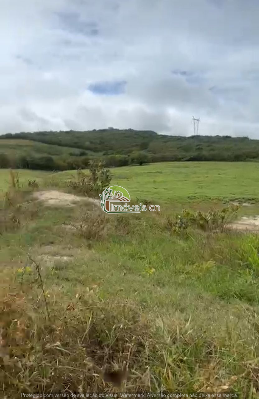 Terra à Venda com Barreiro – 6 Hectares no Sítio Malva, Tacima/PB