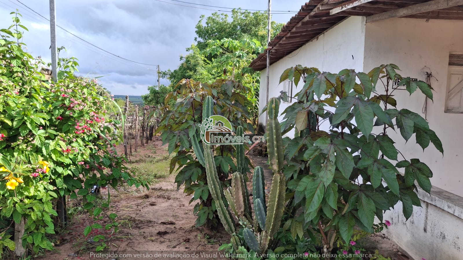 GRANJA À VENDA – 3.500 m² – PRÓXIMO A MACAÍBA/RN