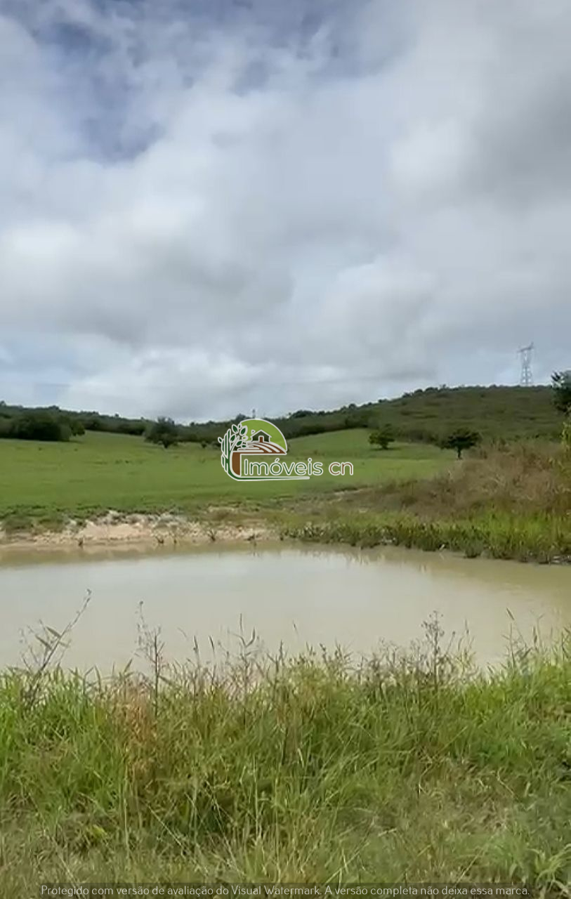 Terra à Venda com Barreiro – 6 Hectares no Sítio Malva, Tacima/PB