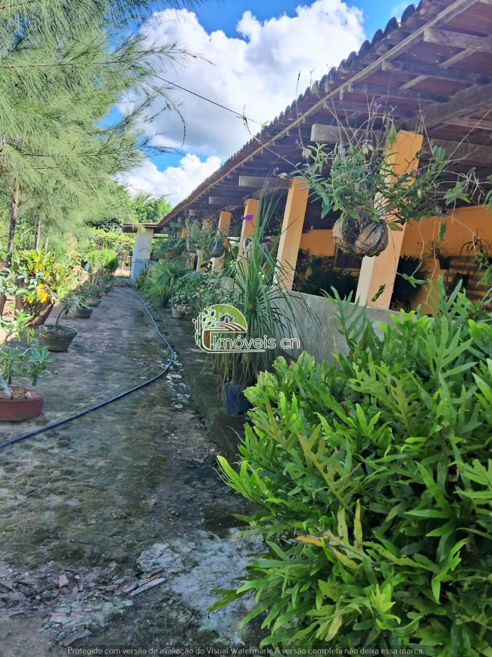 CHÁCARA COMPLETA COM ÁREA TOTAL DE 2HA EM SÃO JOSÉ DO MIPIBU!