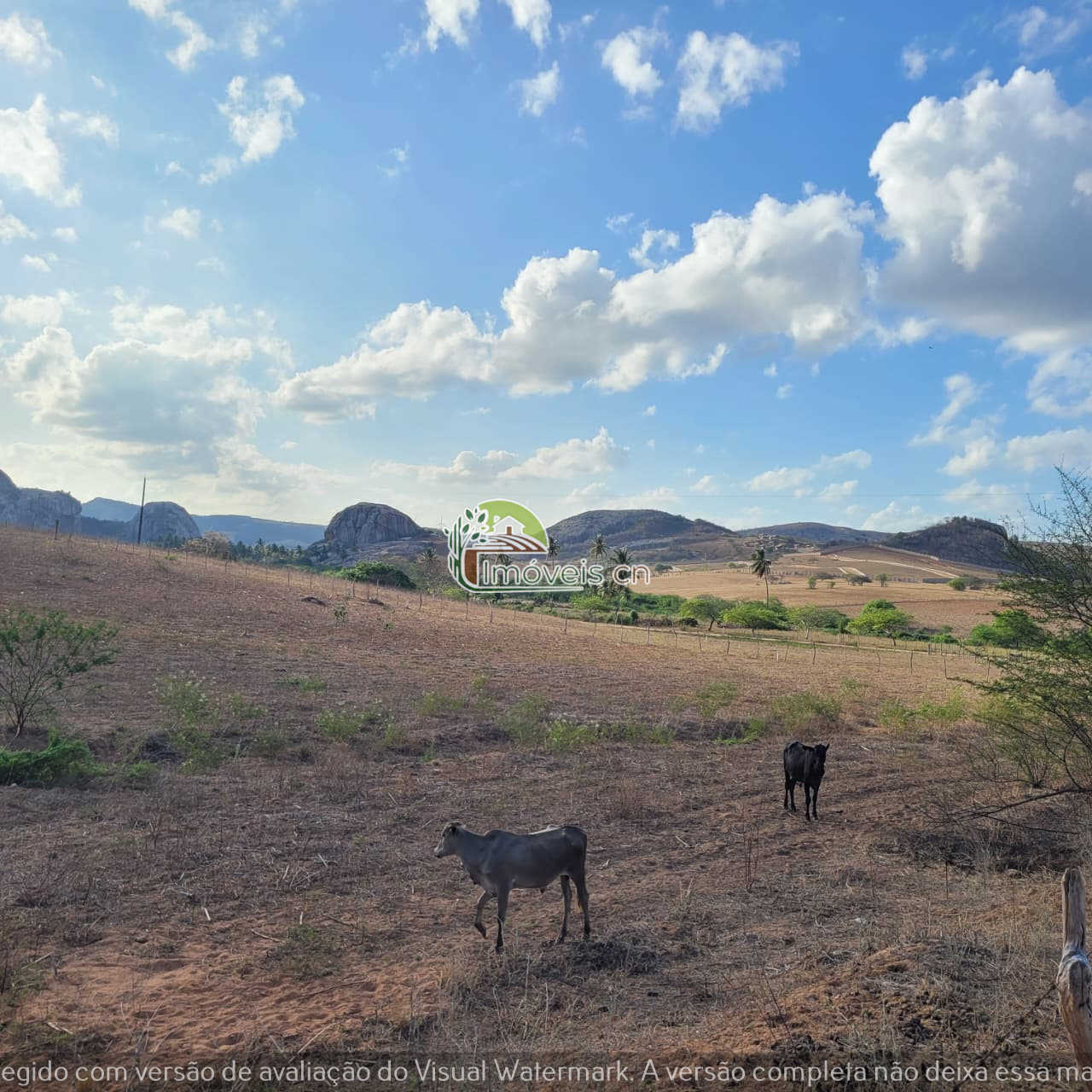 Terra de 1 Hectare à Venda em Araruna/PB — Frente Ampla e Vista Privilegiada para a Pedra da Boca