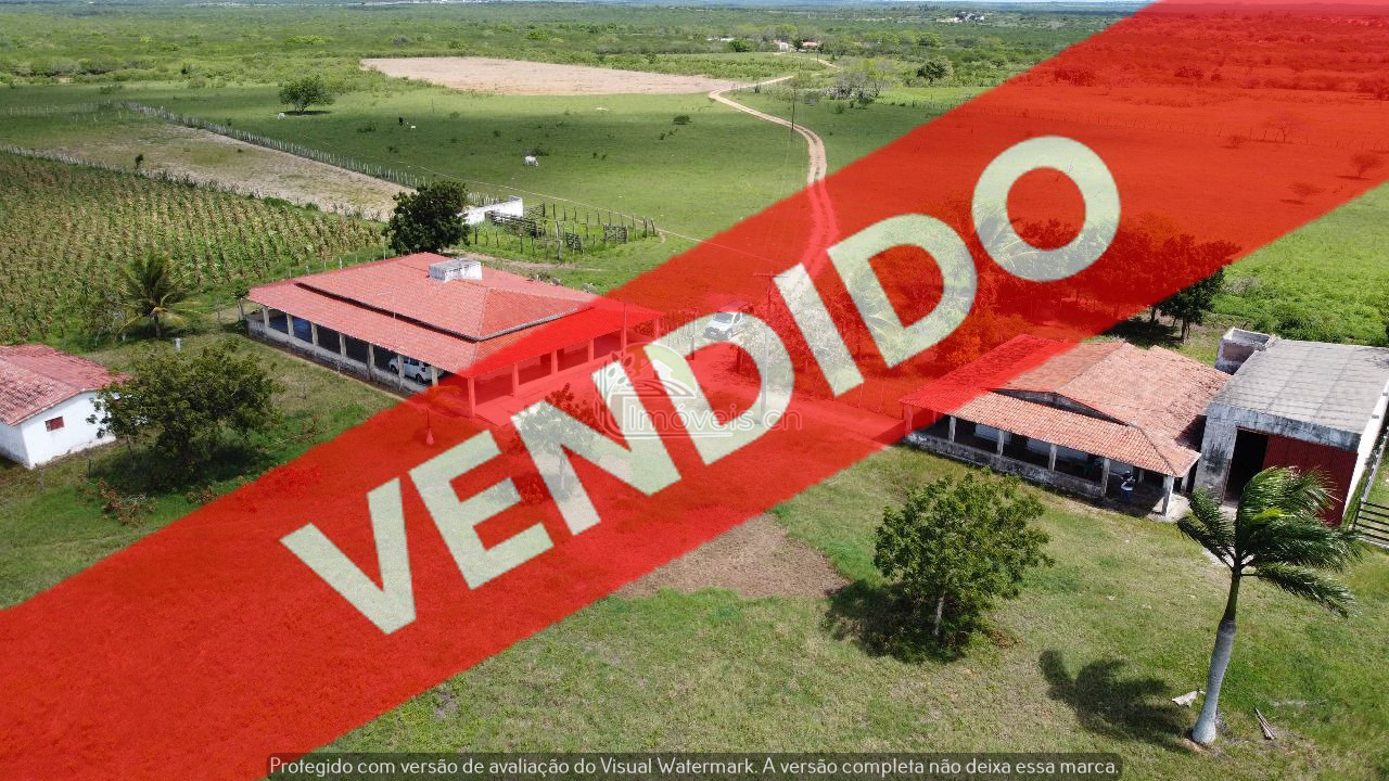 VENDIDO!