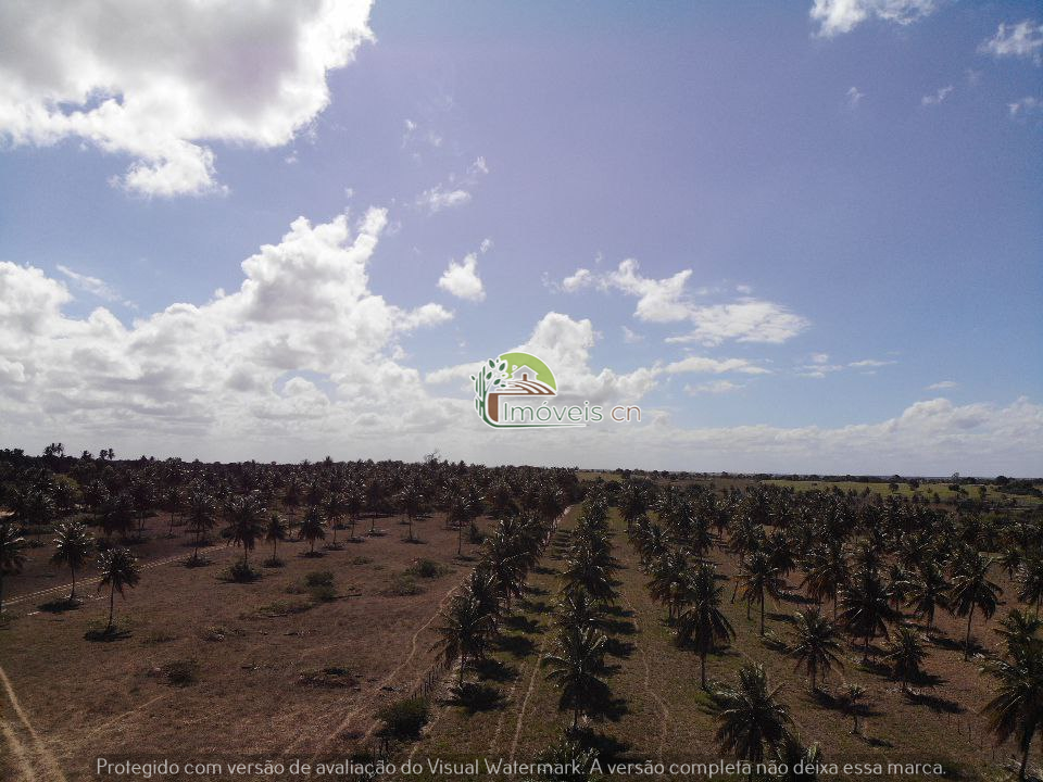 Grande Propriedade às Margens da RN-316 – Monte Alegre/RN