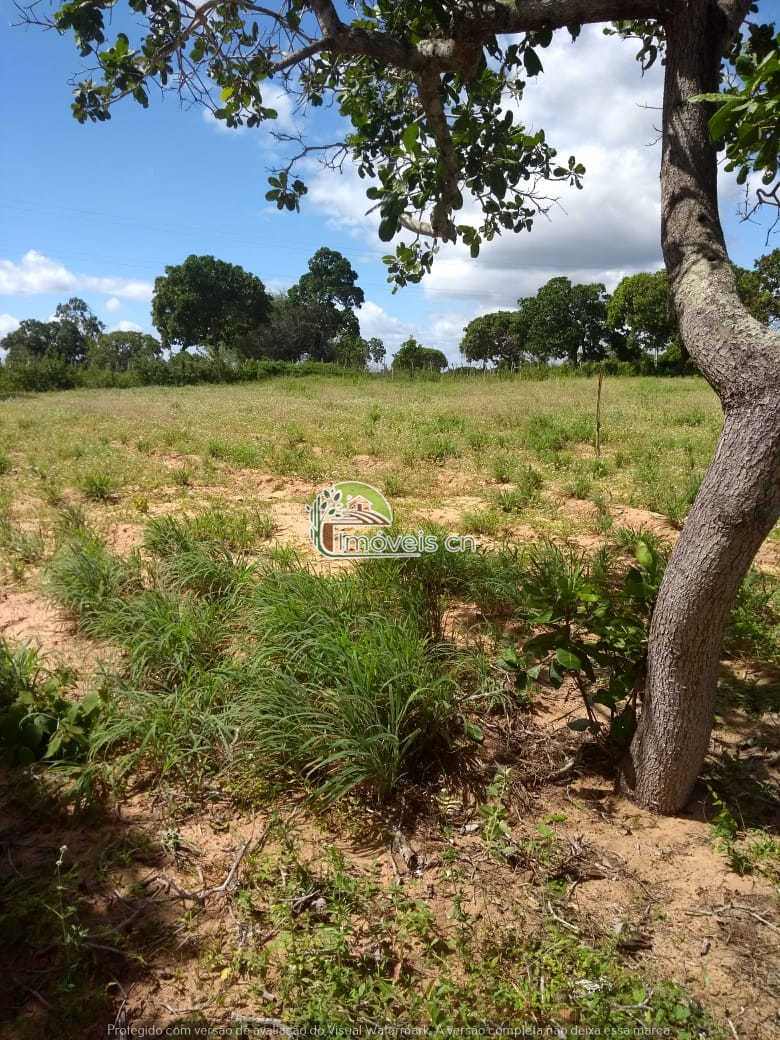 Sítio Produtivo em João Câmara/RN: 2 Hectares a 5km do Centro – R$ 160.000,00