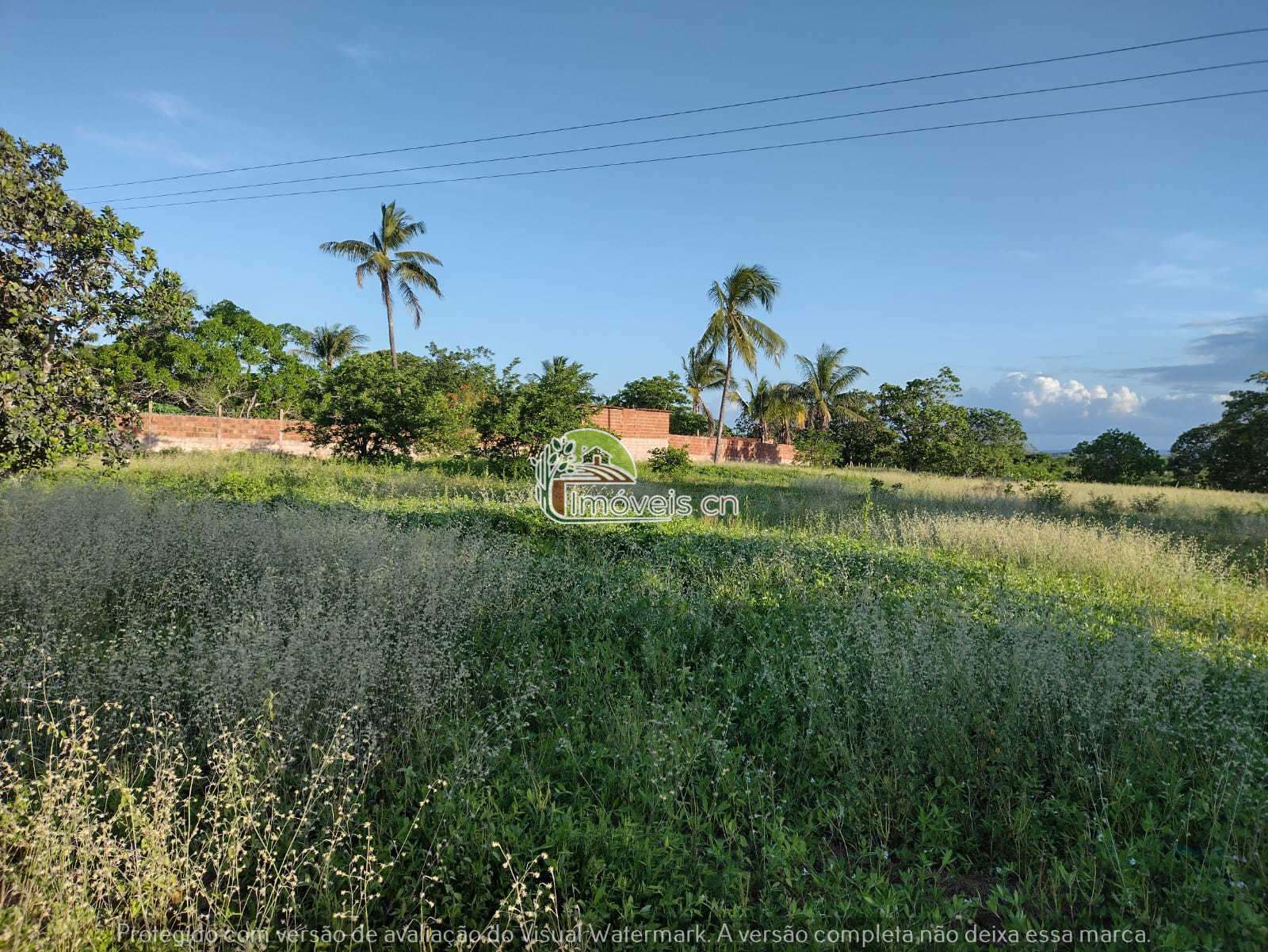 Sítio Produtivo em João Câmara/RN: 2 Hectares a 5km do Centro – R$ 160.000,00