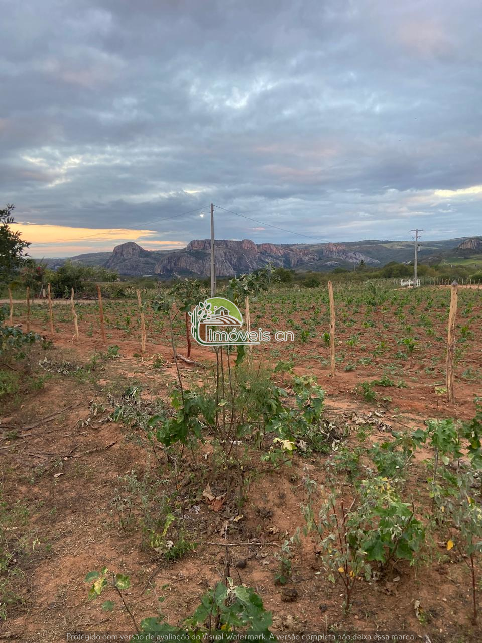 TERRENO COM VISTA PARA A PEDRA DA BOCA E A PEDRA DO CRUZEIRO!