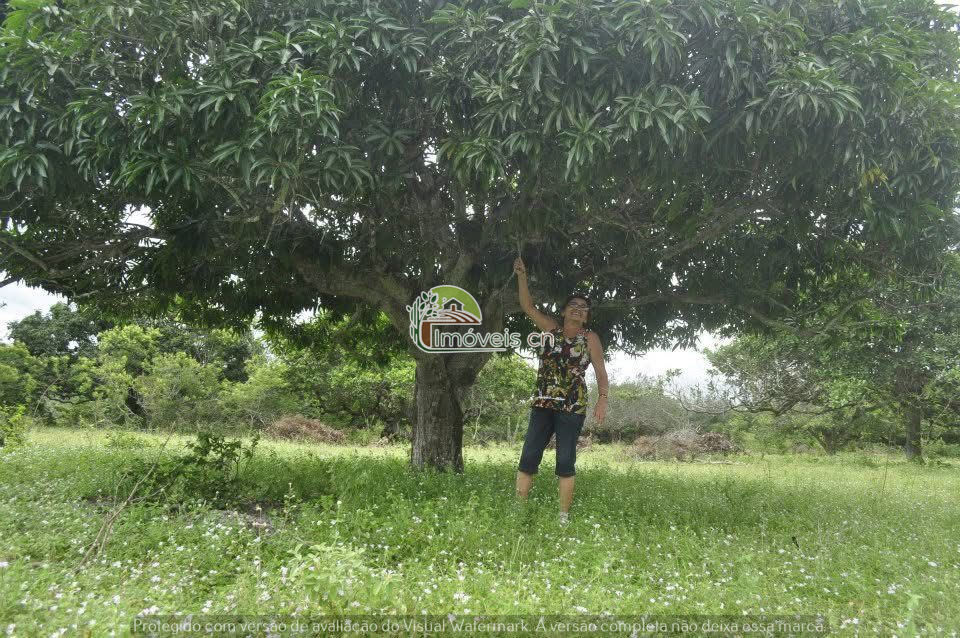 TERRENO A VENDA EM MONTE ALEGRE/RN!