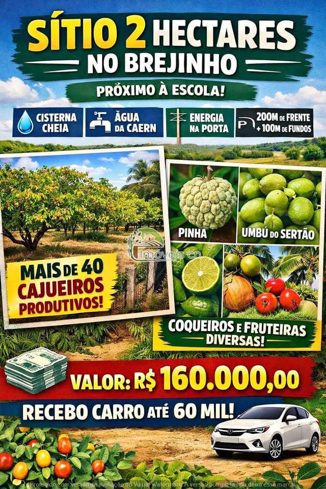Sítio Produtivo em João Câmara/RN: 2 Hectares a 5km do Centro – R$ 160.000,00