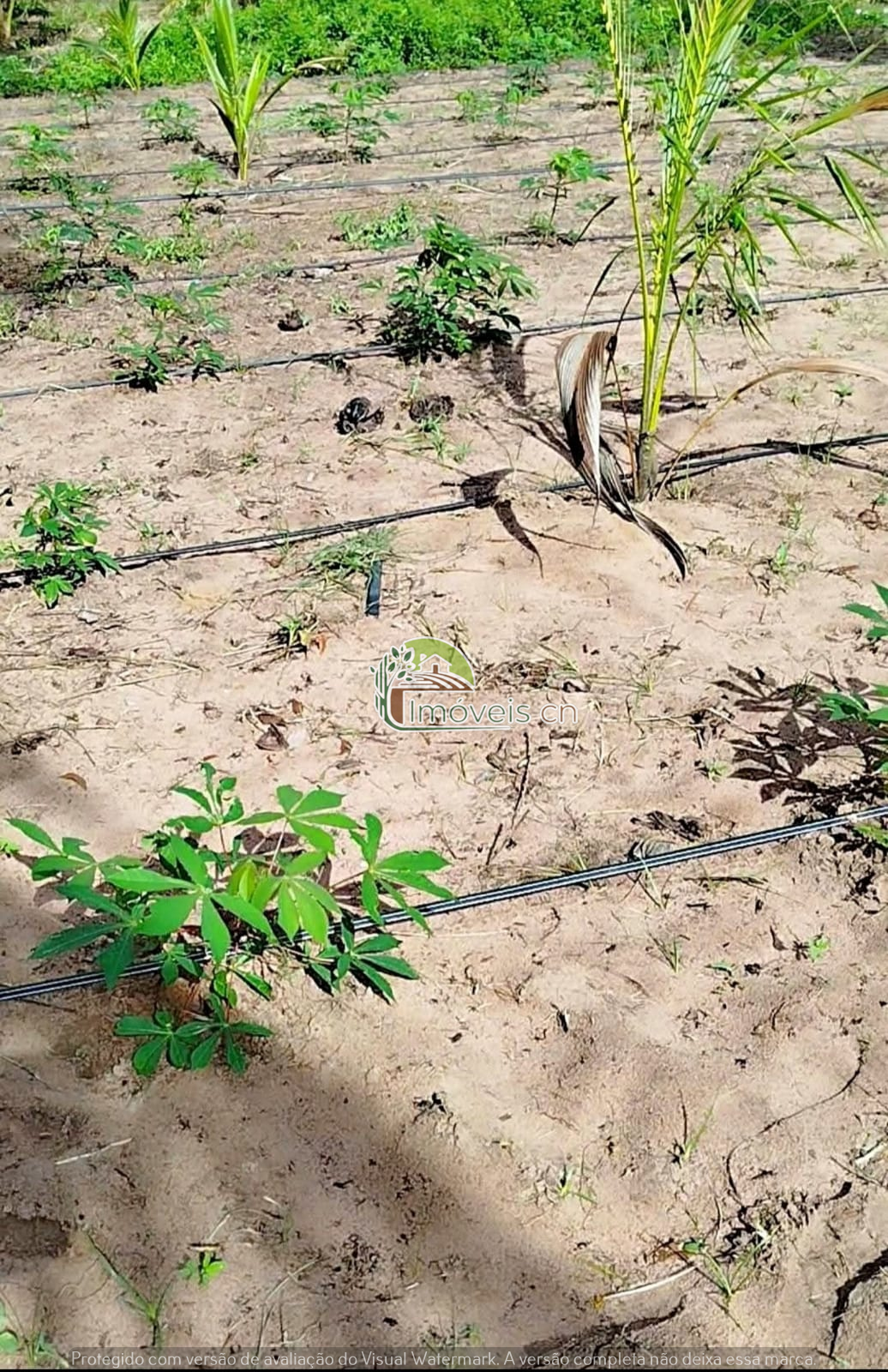 Propriedade à Venda em Maxaranguape/RN – 7,72 Hectares na Fazenda Paz!