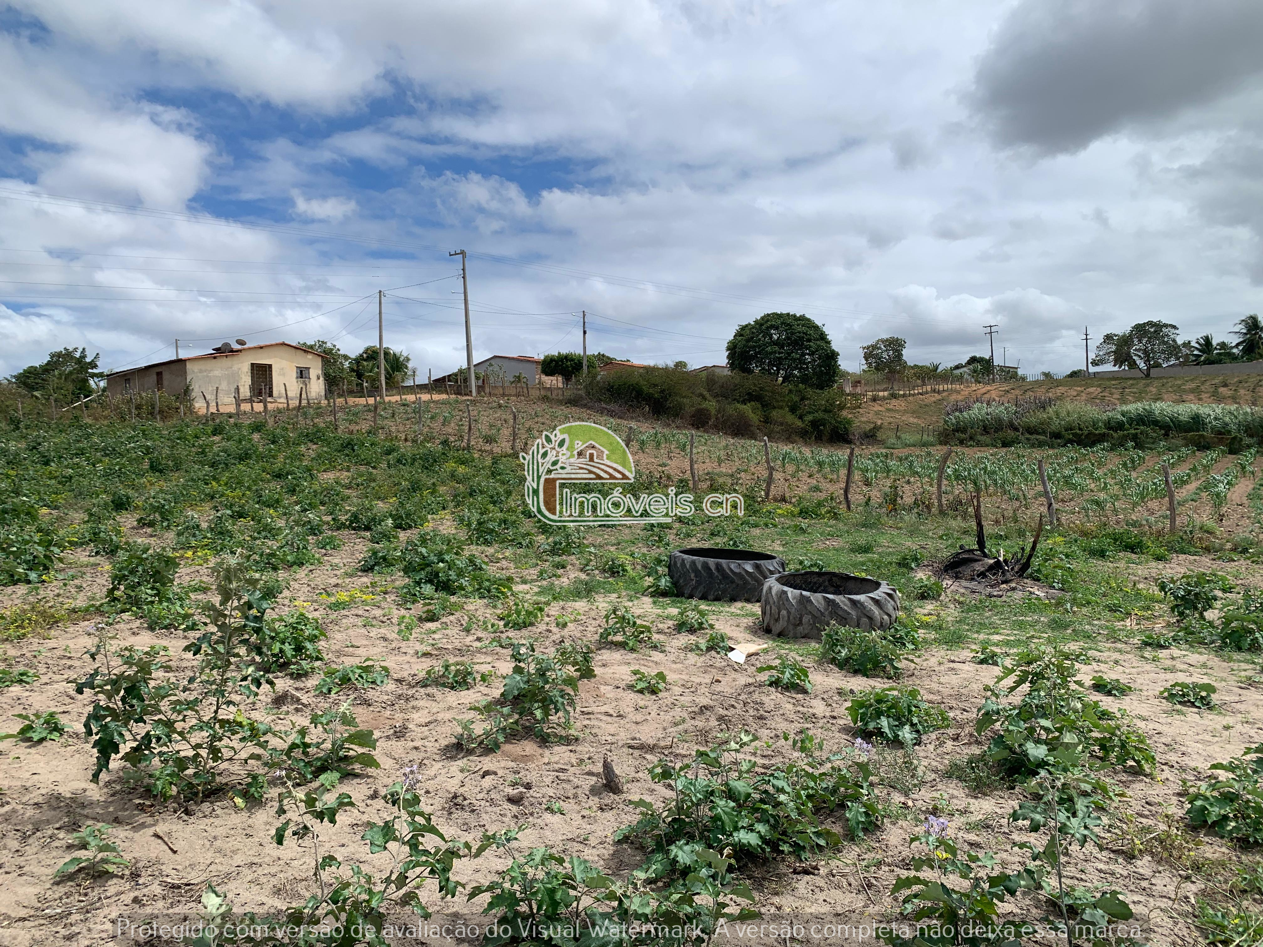 IMÓVEL A VENDA NO SÍTIO CIPOAL,PASSA E FICA/RN!
