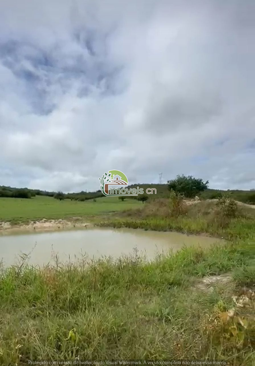 Terra à Venda com Barreiro – 6 Hectares no Sítio Malva, Tacima/PB