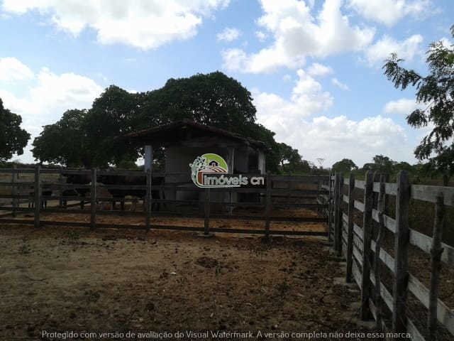 GRANJA DE 14,65 HECTARES À VENDA EM CANA BRAVA – MACAÍBA/RN – R$ 490 MIL