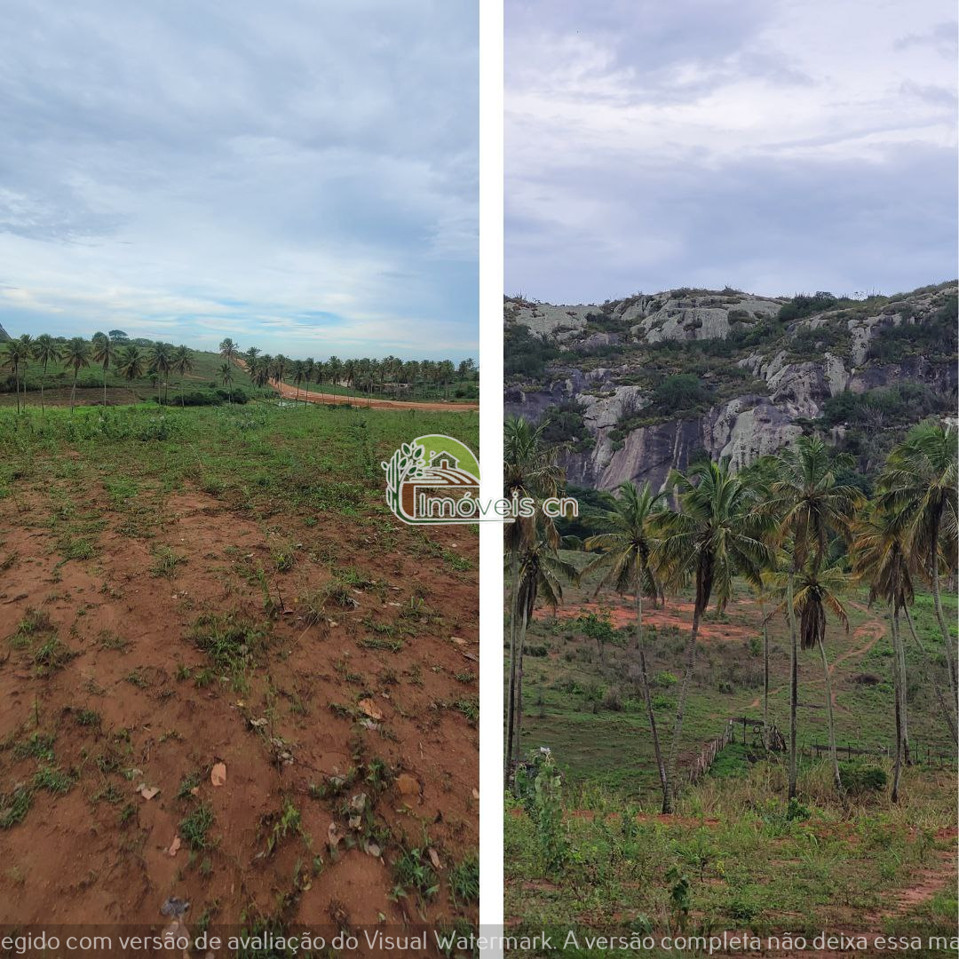 OPORTUNIDADE ÚNICA! - LOTES PARA CHÁCARAS!