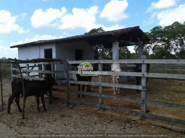 GRANJA DE 14,65 HECTARES À VENDA EM CANA BRAVA – MACAÍBA/RN – R$ 490 MIL