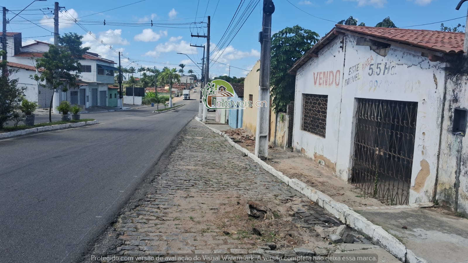 Oportunidade de Investimento em Brejinho/RN: 5,6 Hectares de frente a RN-160