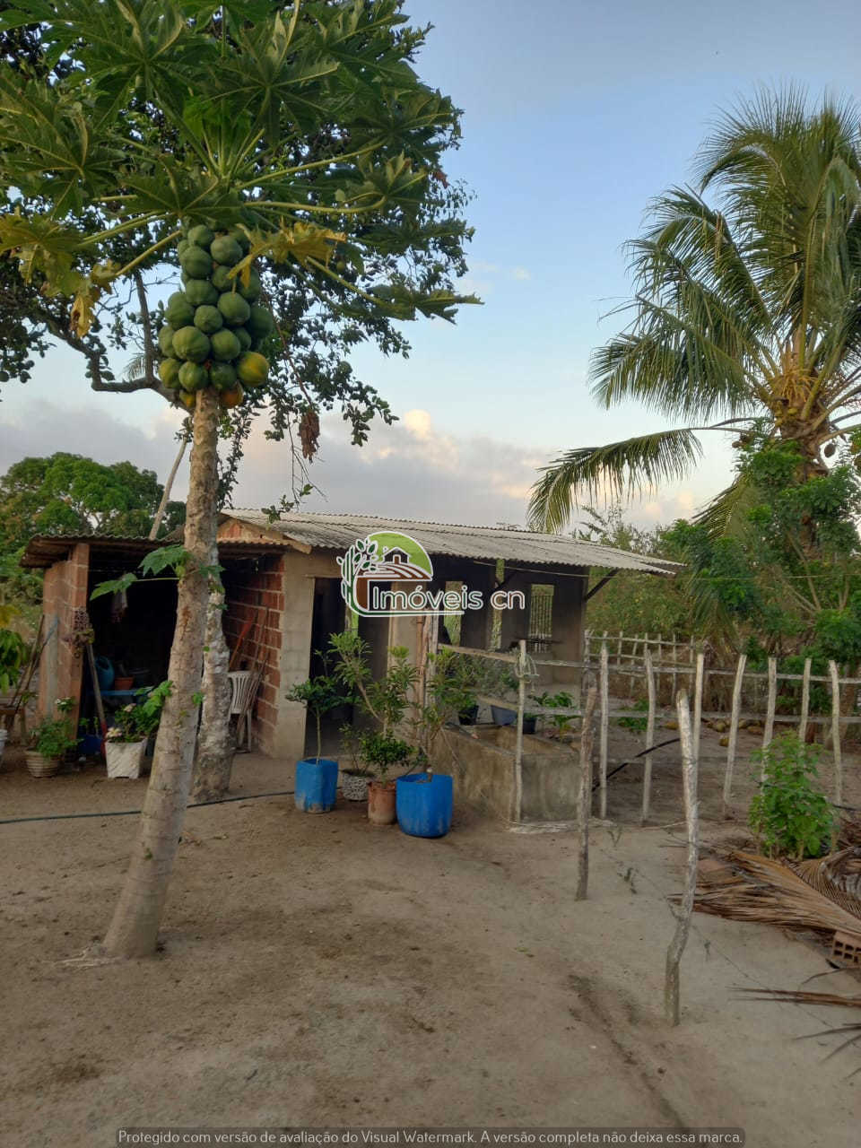 Chácara de 4 Hectares Completa e Pronta para Morar – Pedro Régis/PB