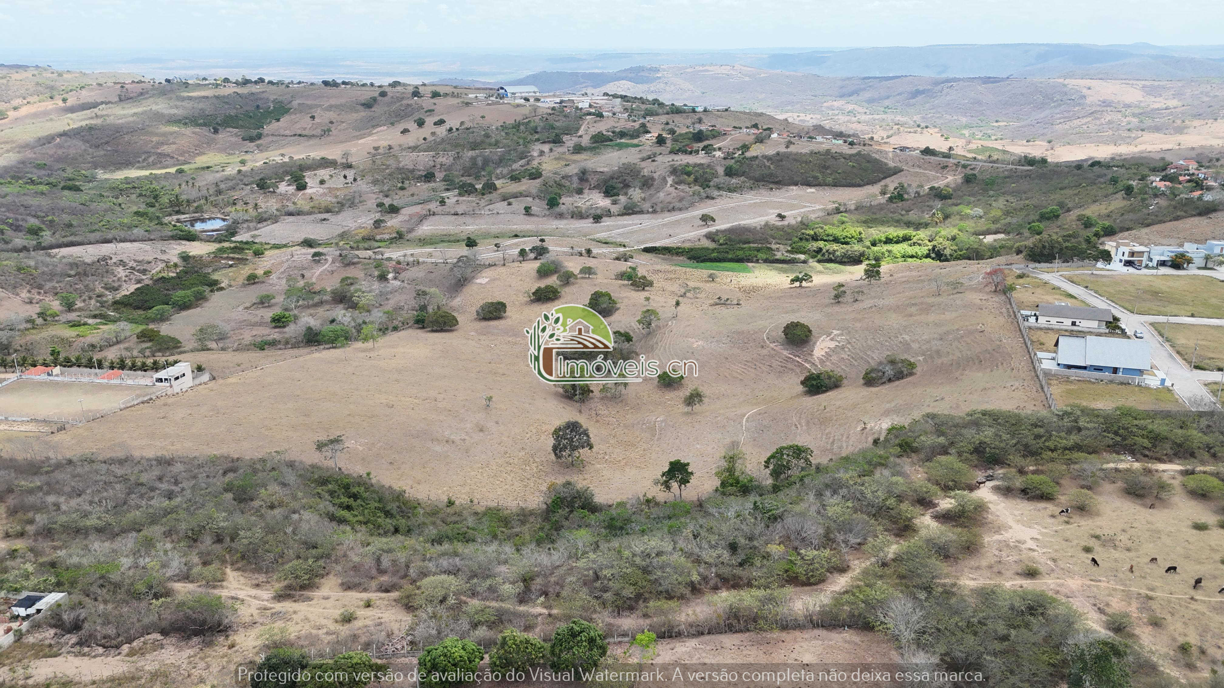 Terra à Venda em Araruna/PB – 11,5 Hectares em Área de Expansão Urbana