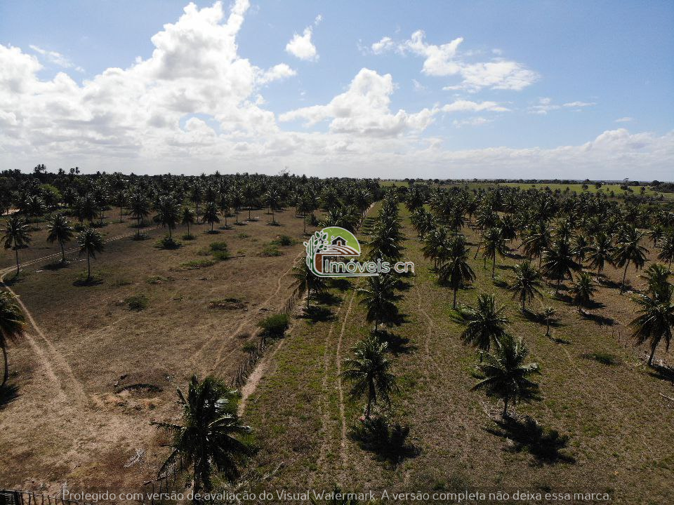 Grande Propriedade às Margens da RN-316 – Monte Alegre/RN