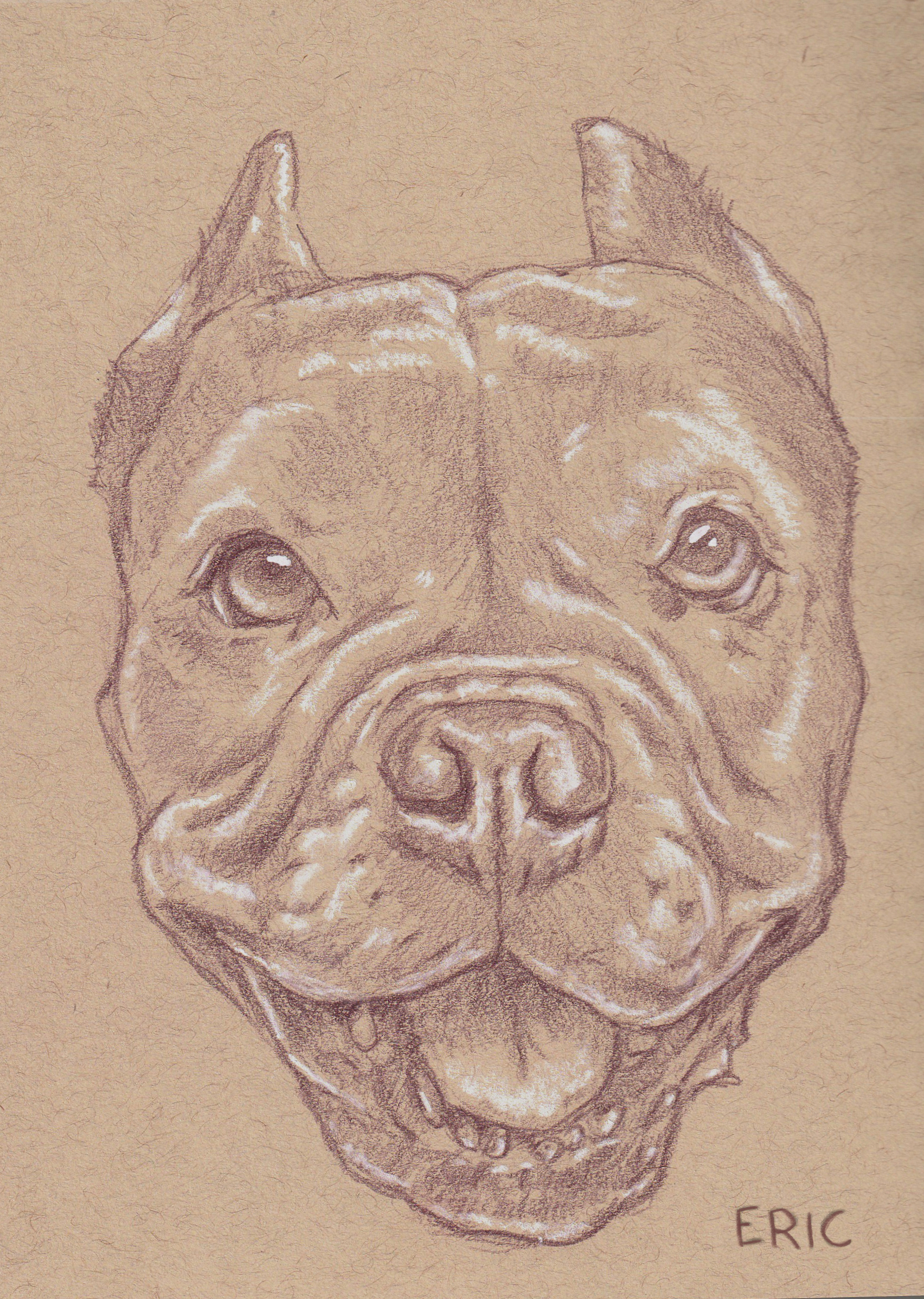 "Punky @Lange_Foundation" 4x6 Print