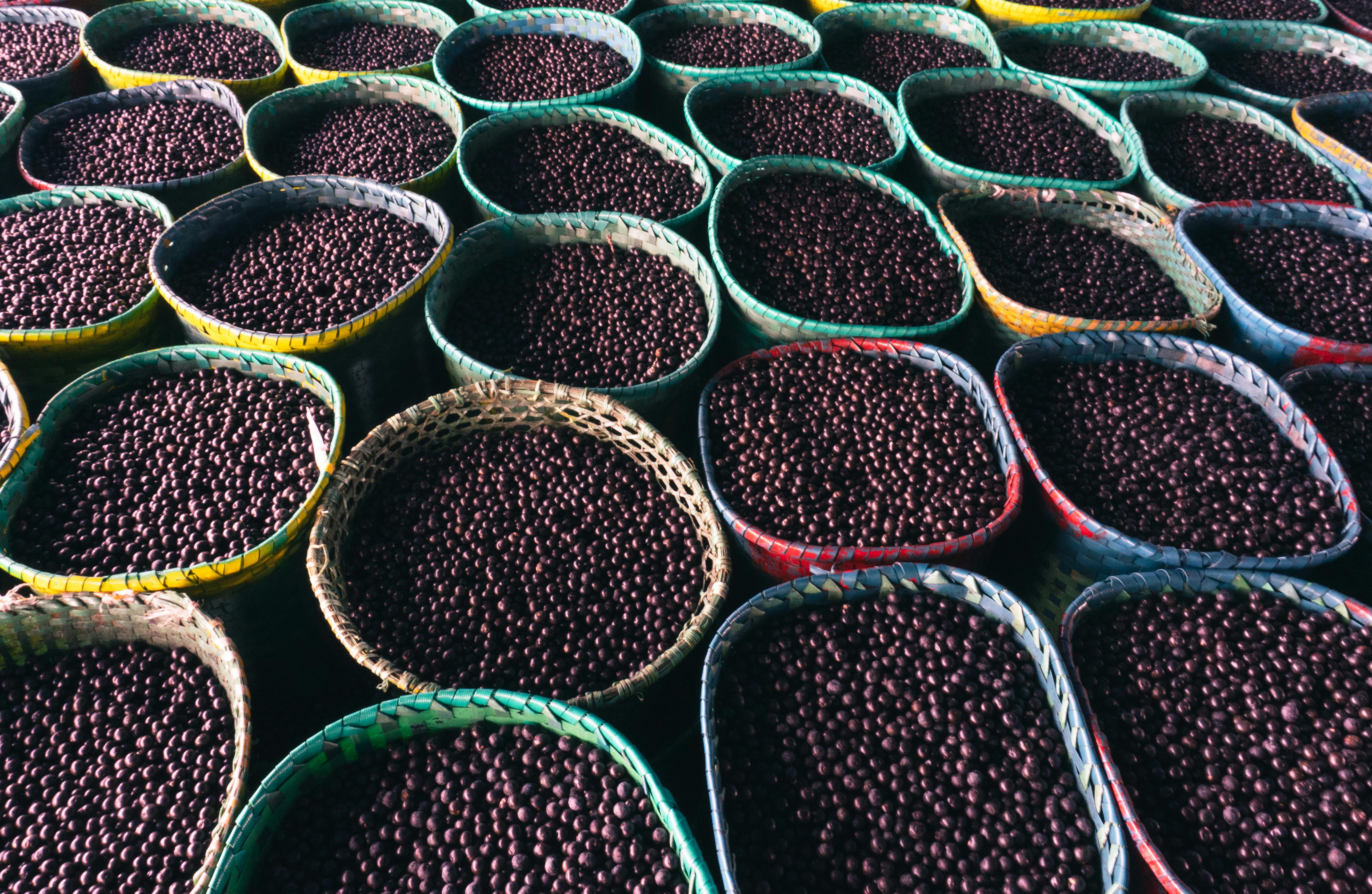 Frozen Acai