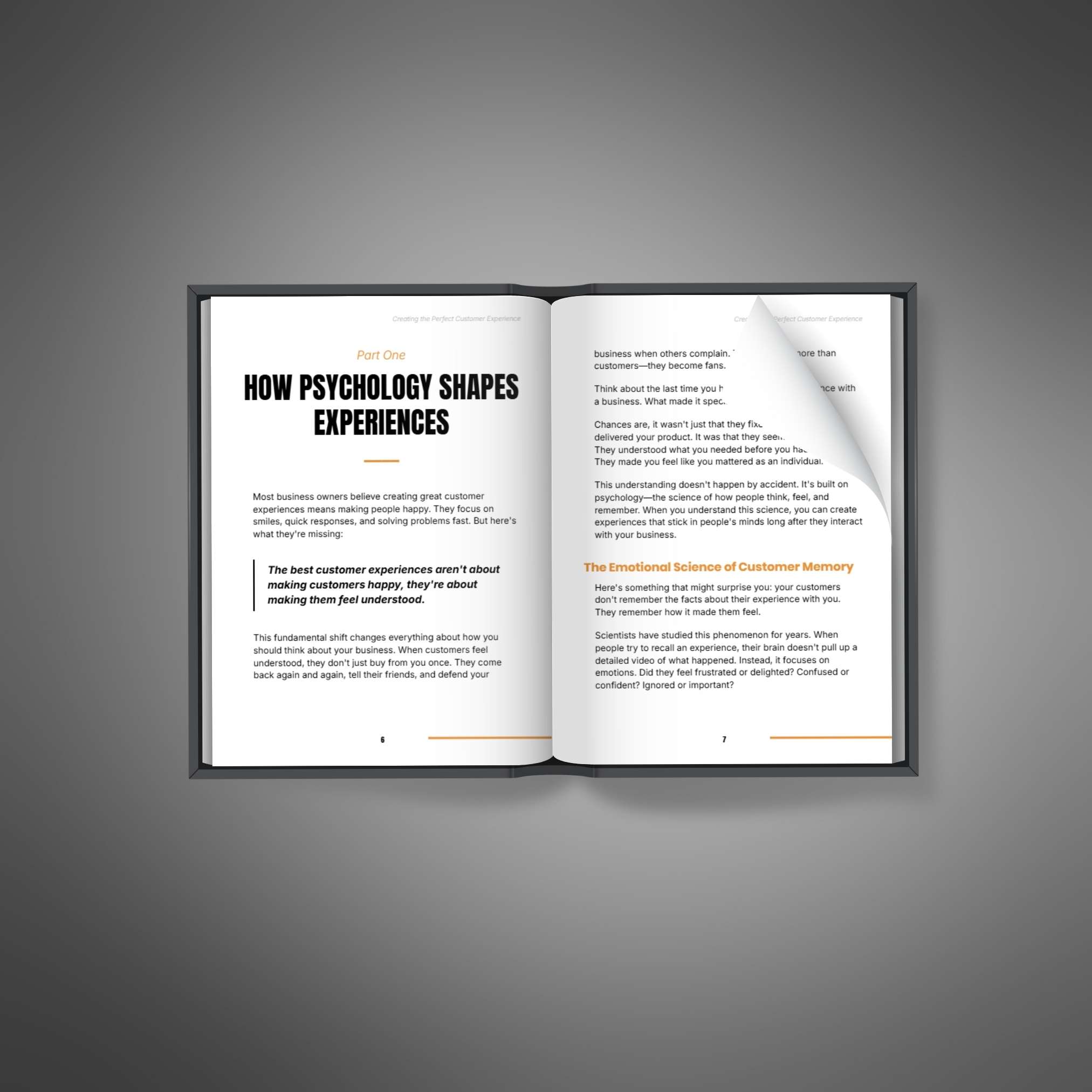 Creating the Perfect Customer Experience - Ebook
