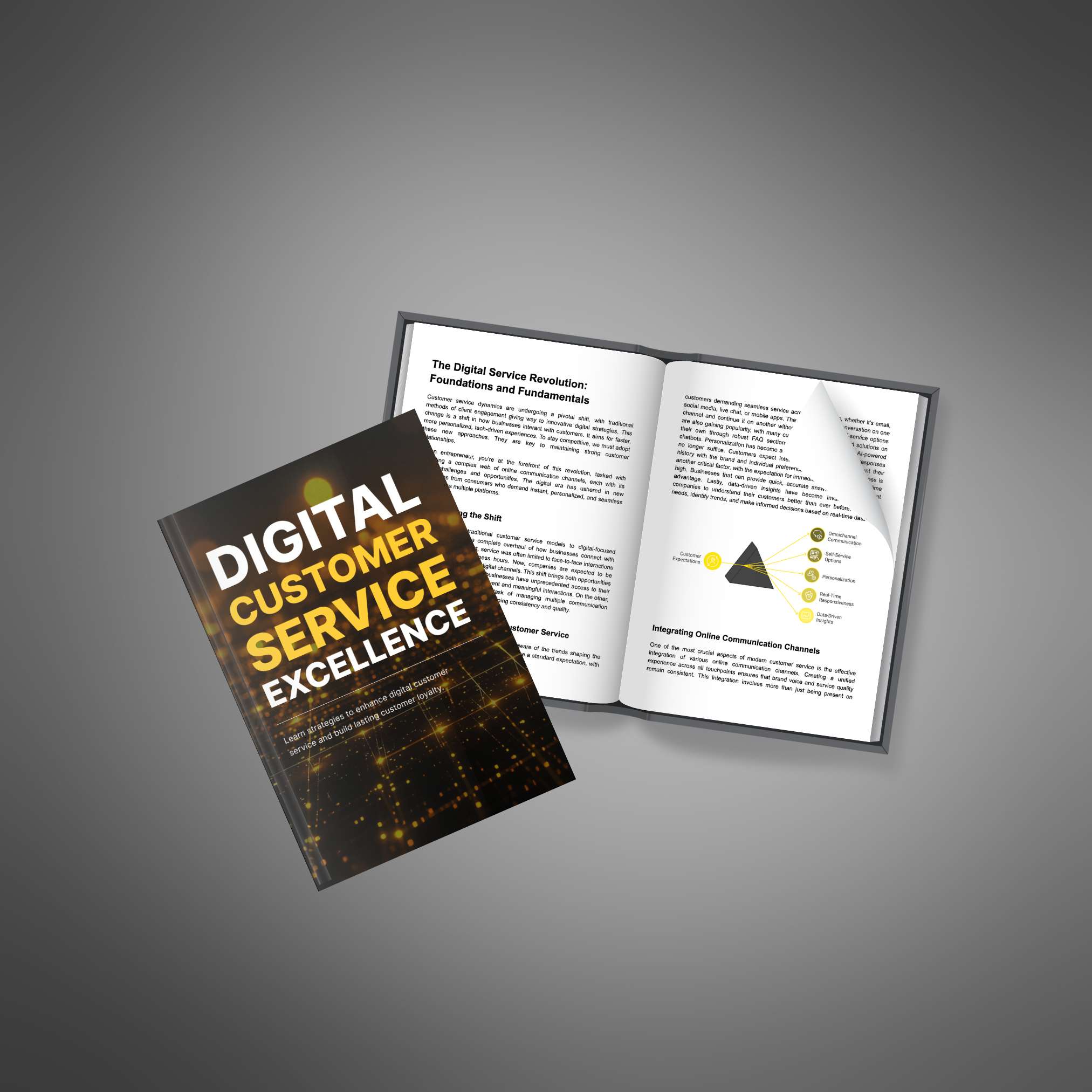 Digital Customer Service Excellence – Ebook