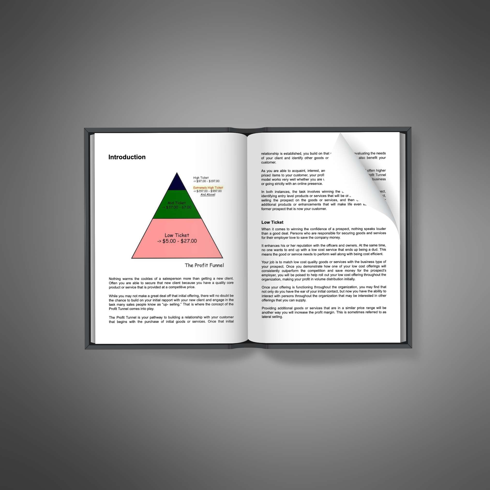 Maximizing Sales Funnels – Ebook