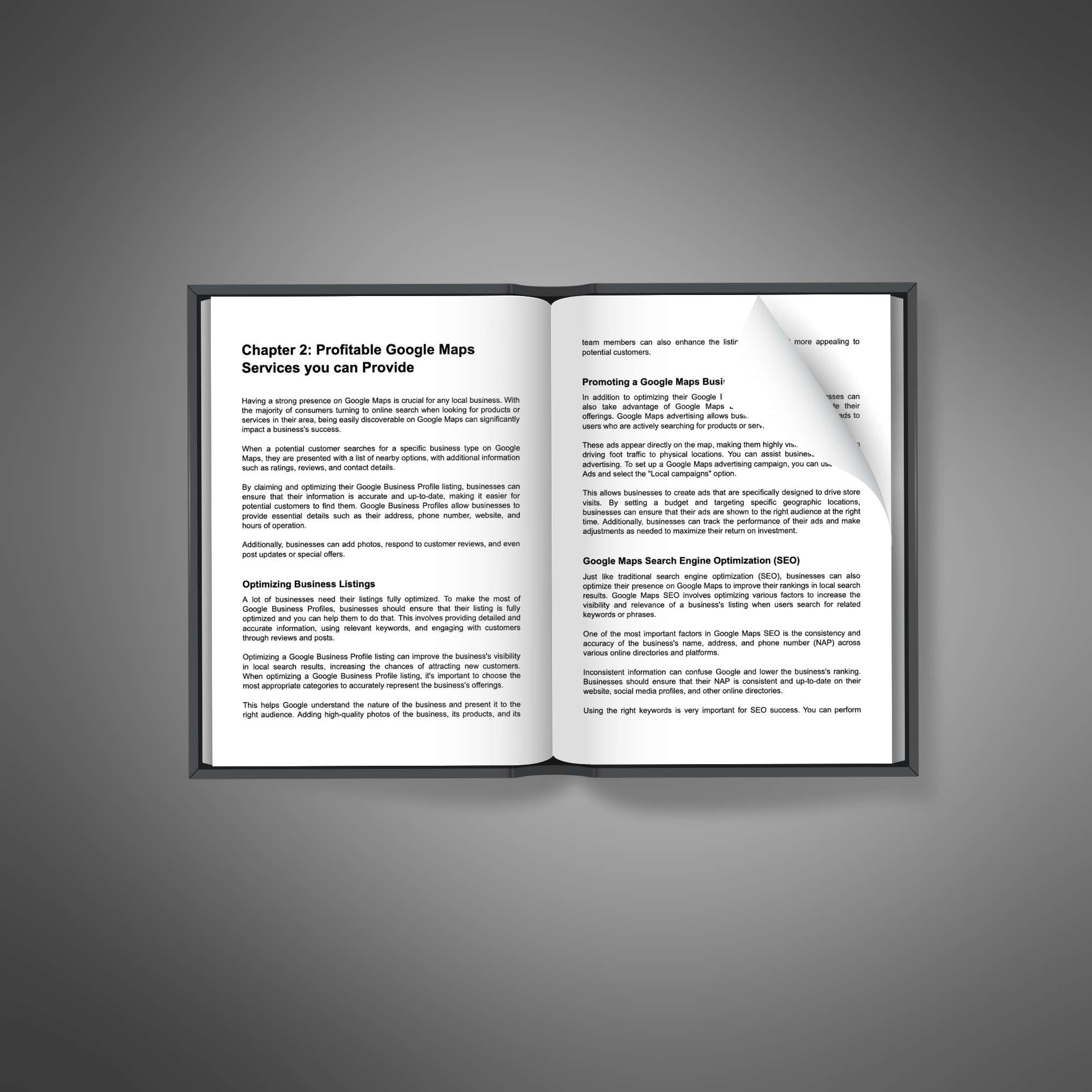 Google Maps Profit – Ebook