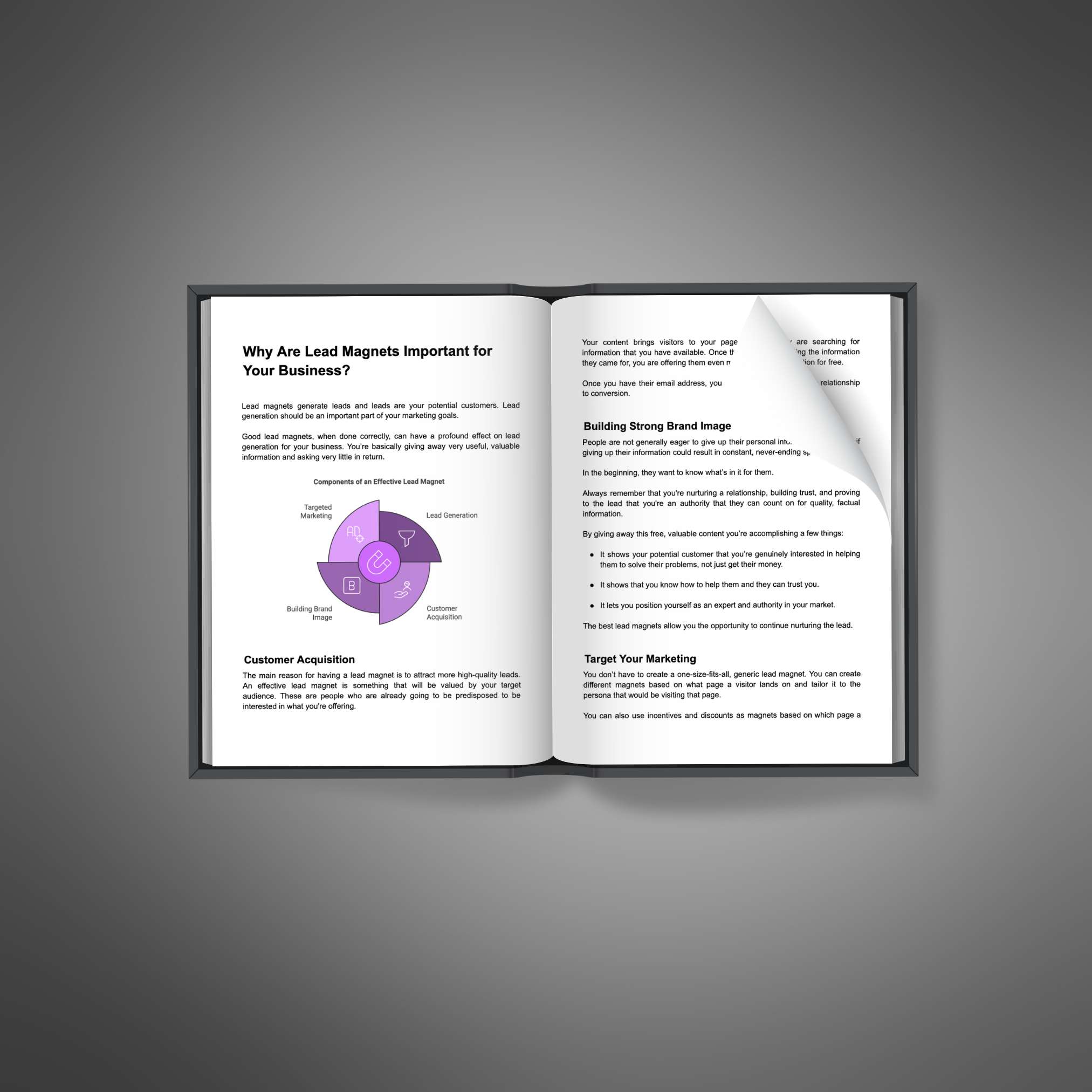 Lead Magnet Conversions – Ebook