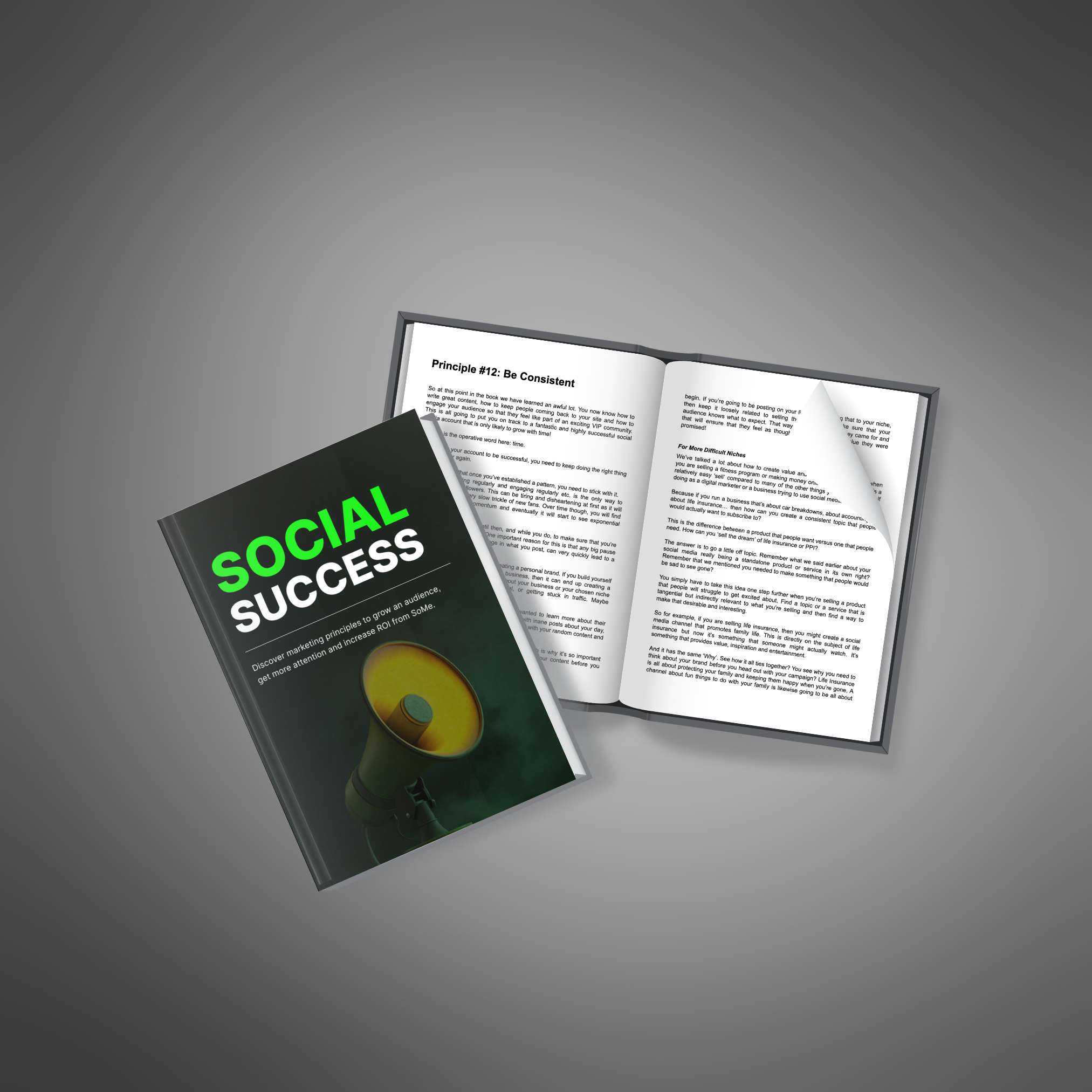 Social Success – Ebook