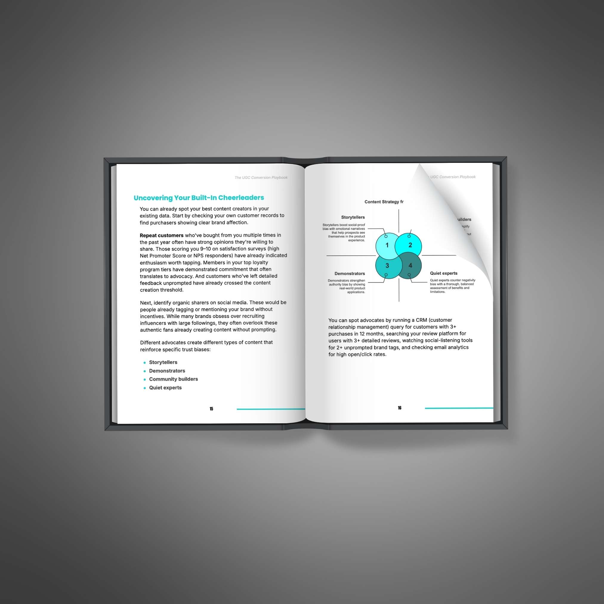 The UGC Conversion Playbook - Ebook