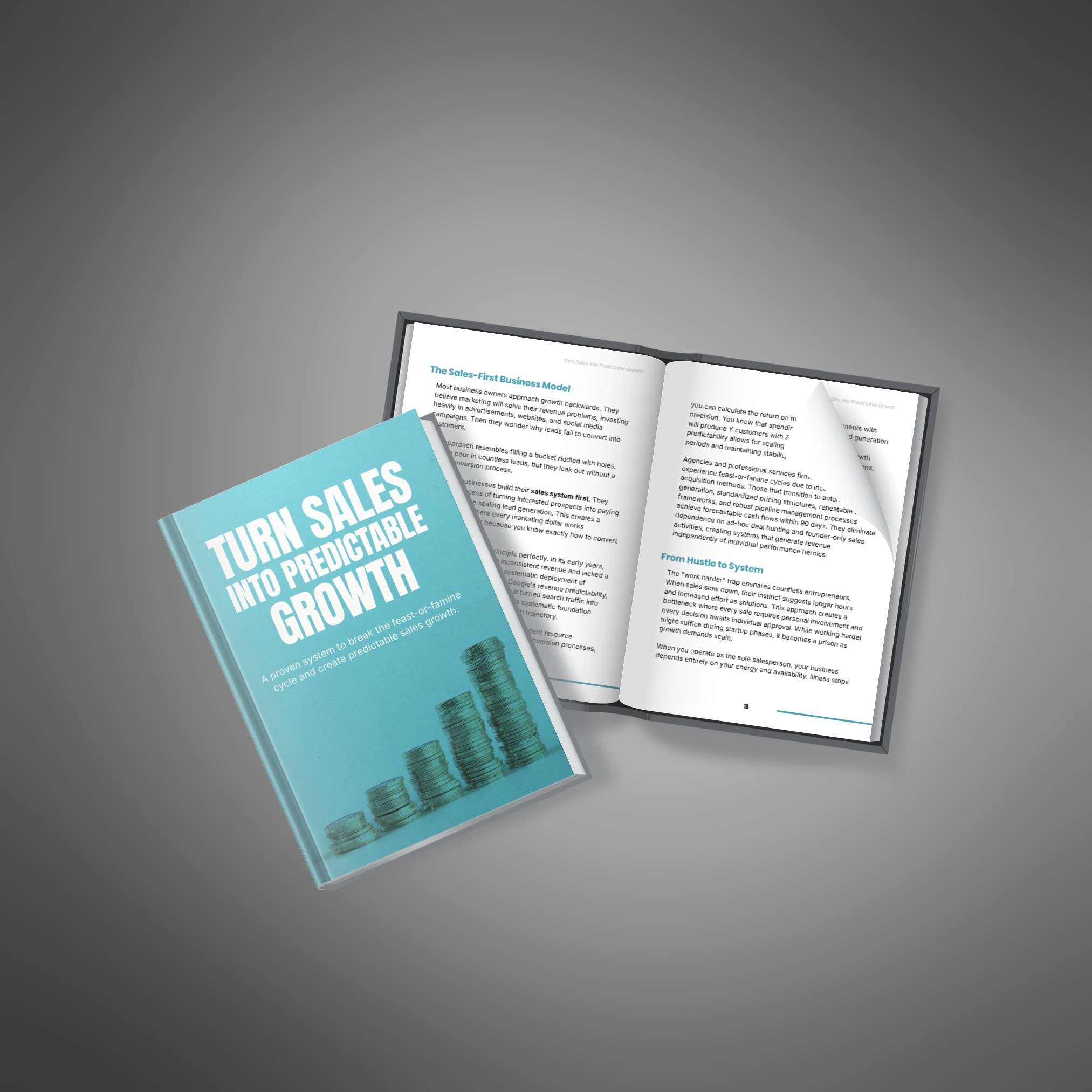 Turn Sales Into Predictable Growth - Ebook