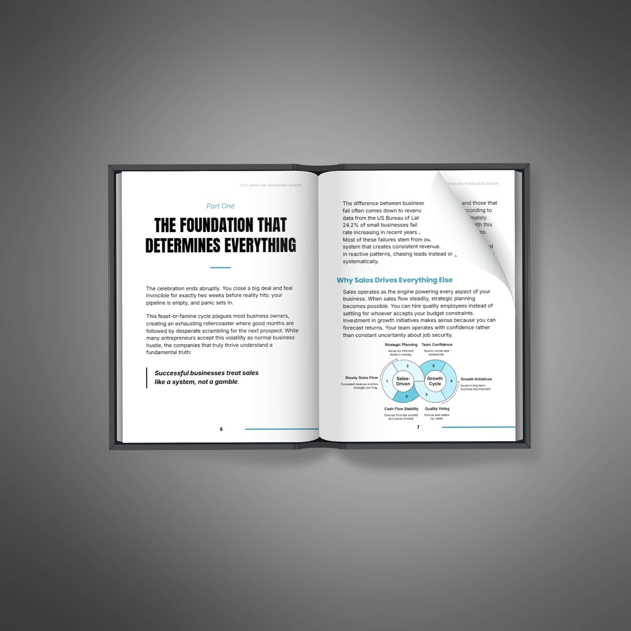 Turn Sales Into Predictable Growth - Ebook