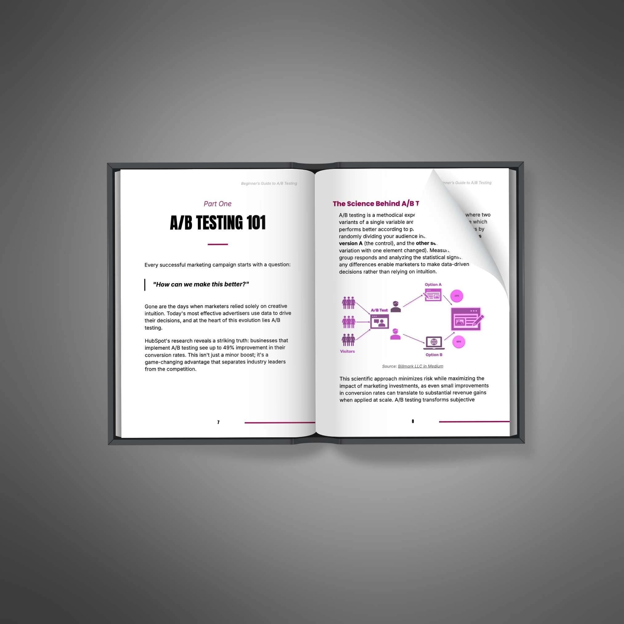 Beginner’s Guide to A/B Testing - Ebook