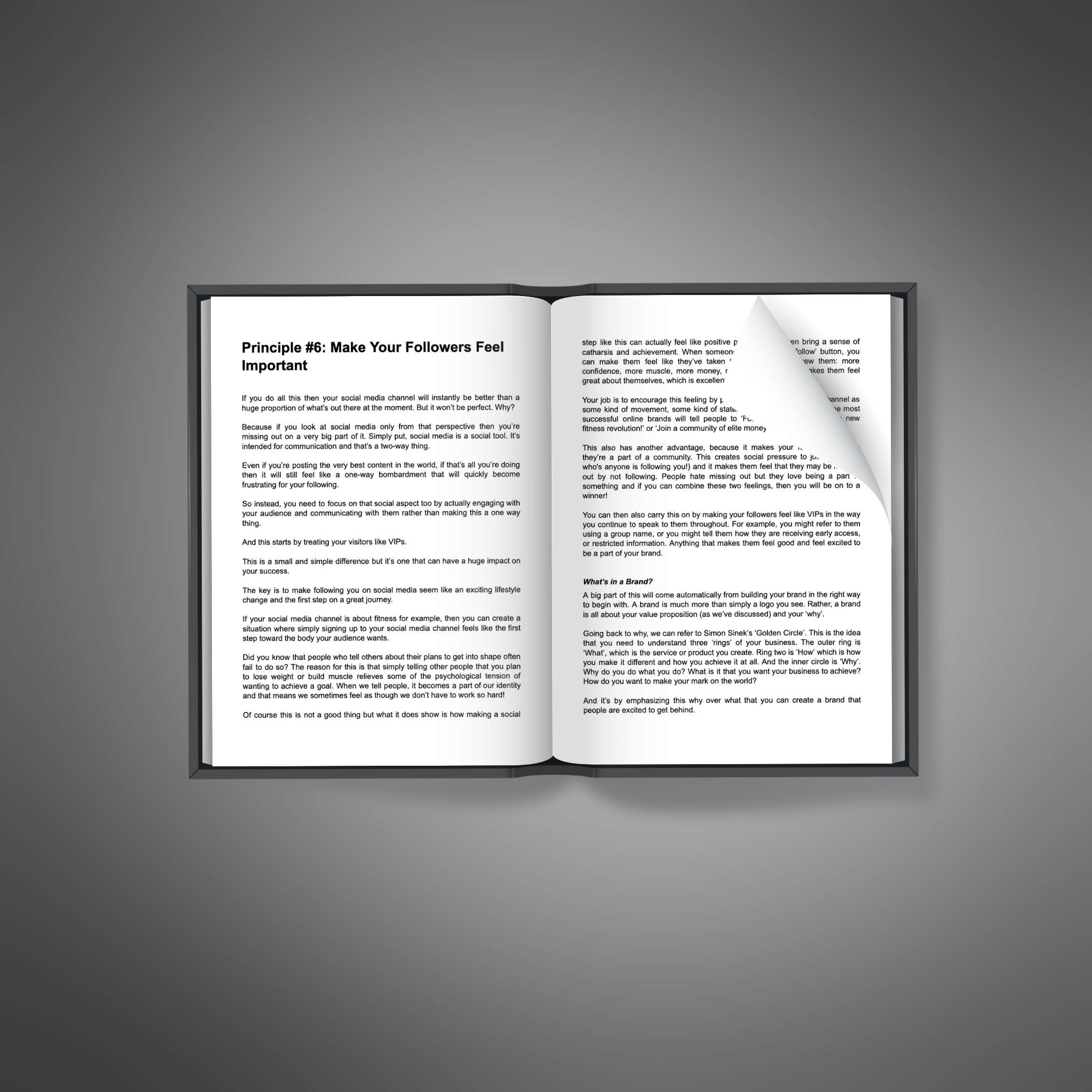 Social Success – Ebook